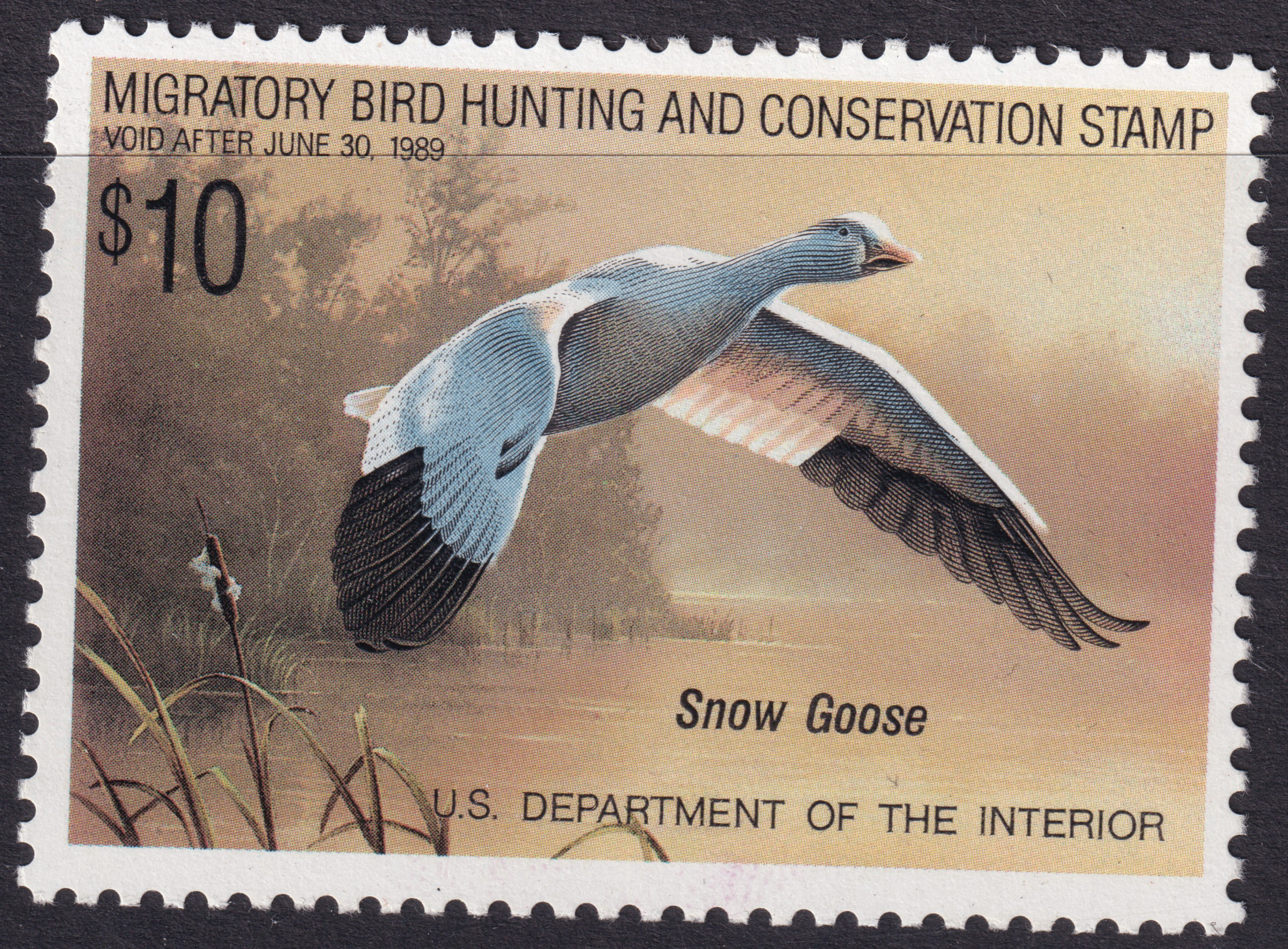 Stamp Picture