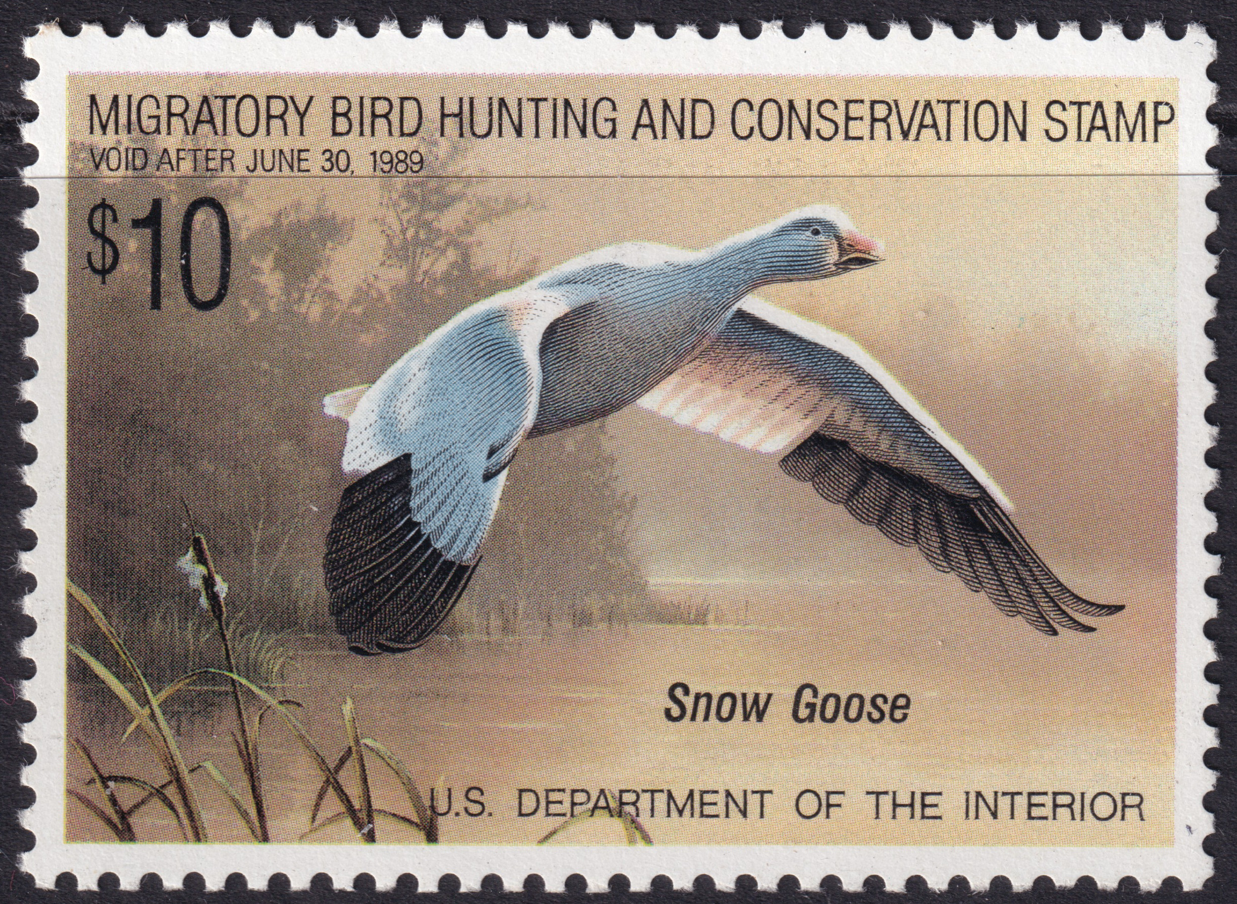 Stamp Picture
