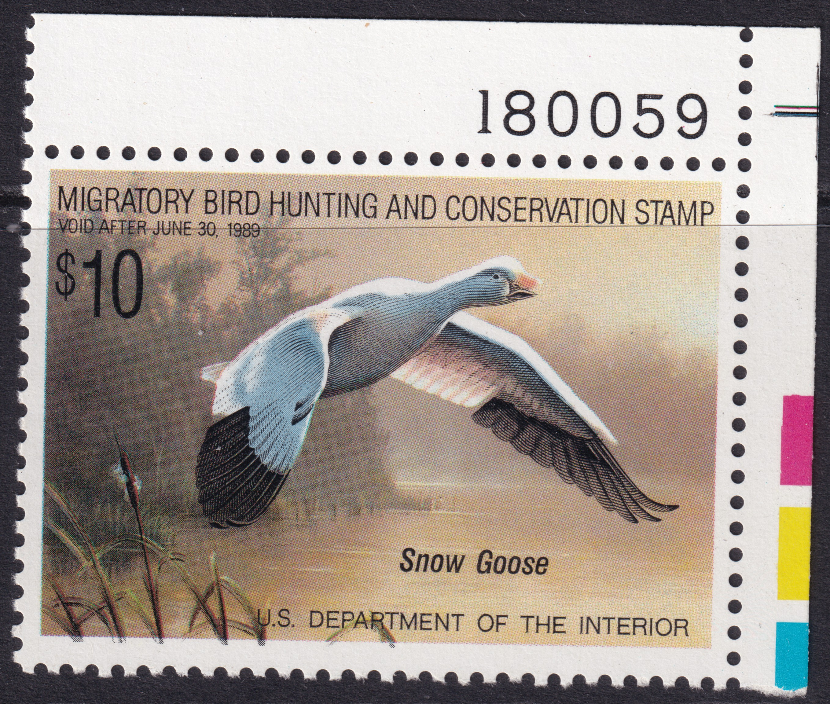 Stamp Picture