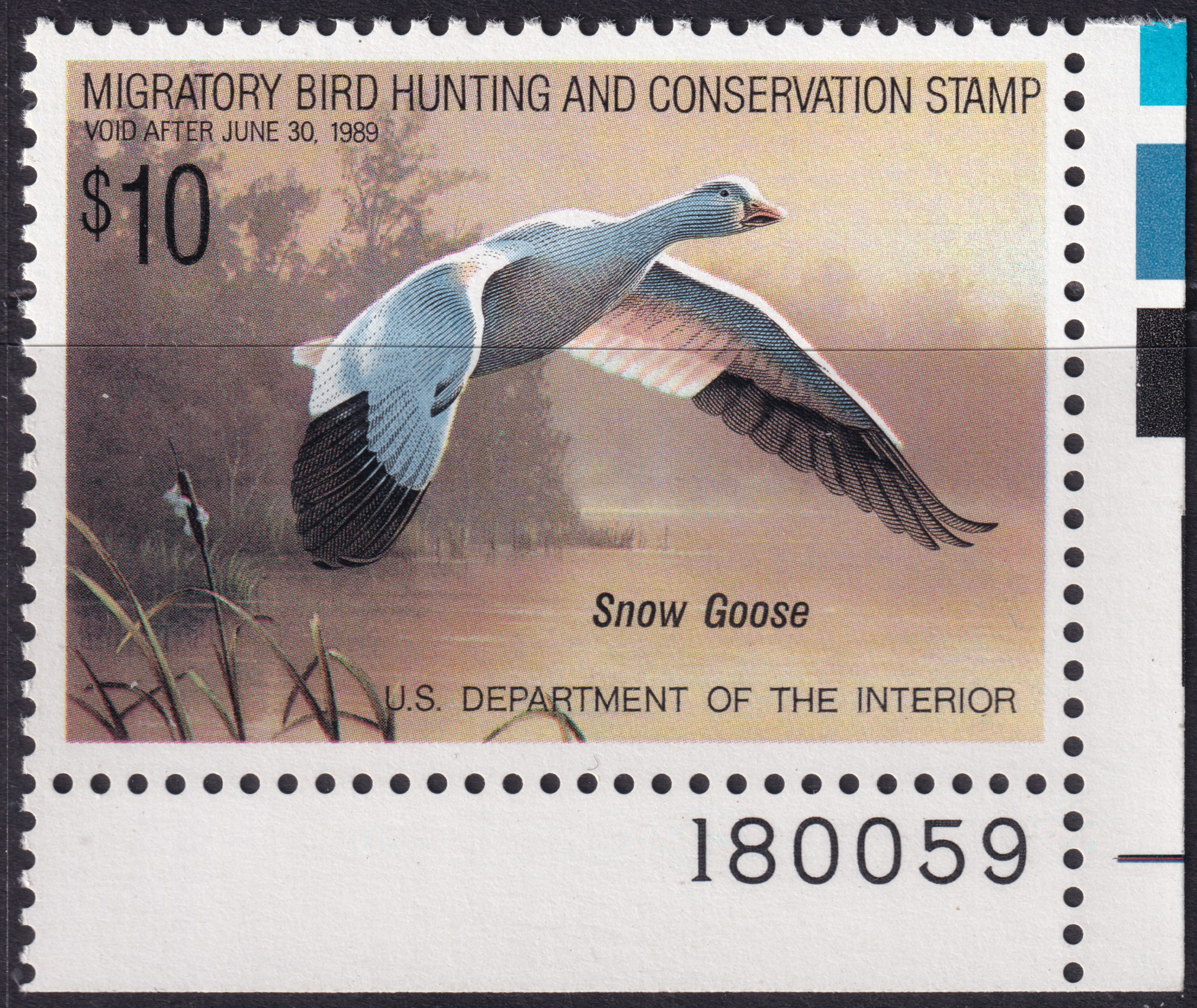 Stamp Picture