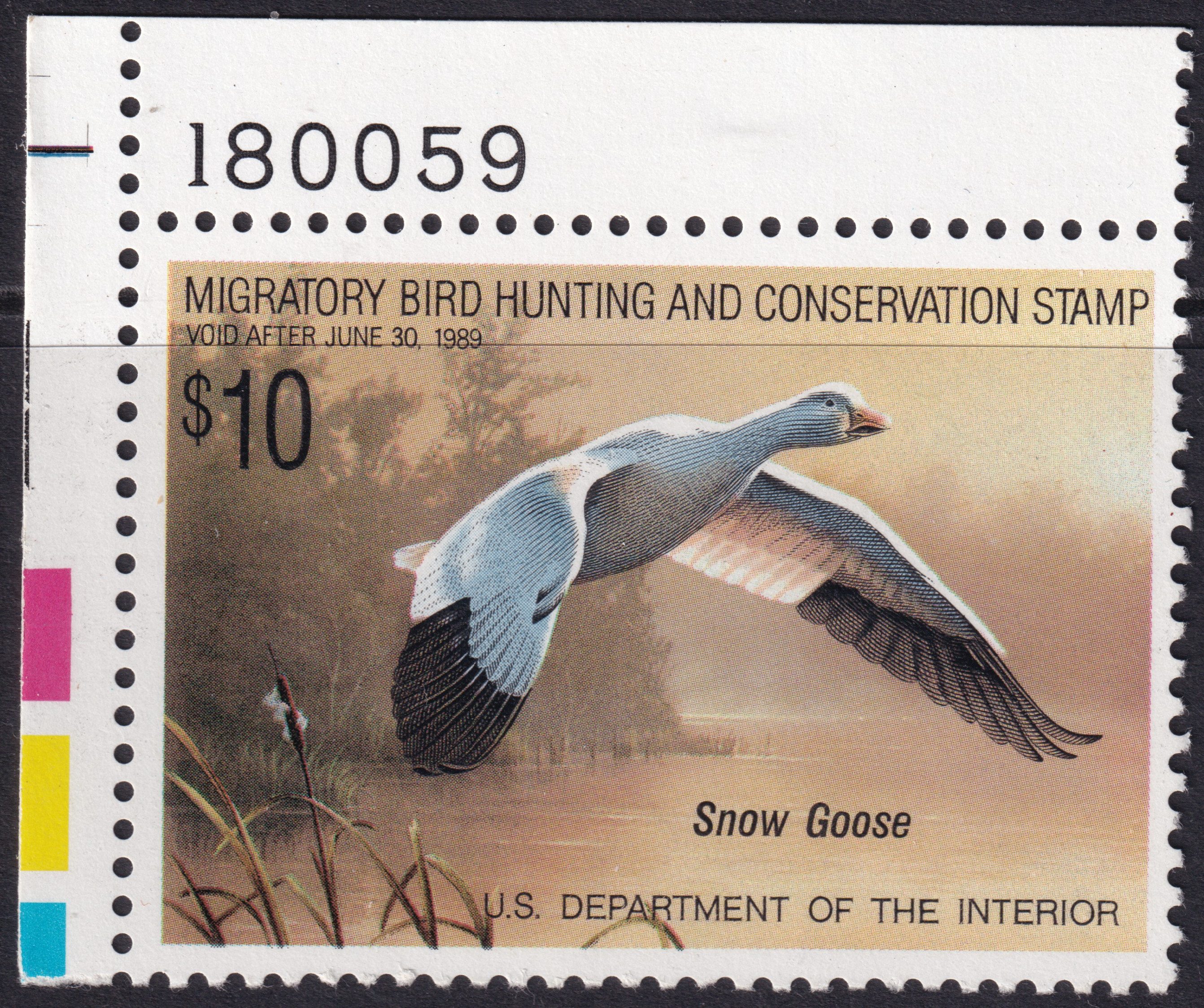 Stamp Picture