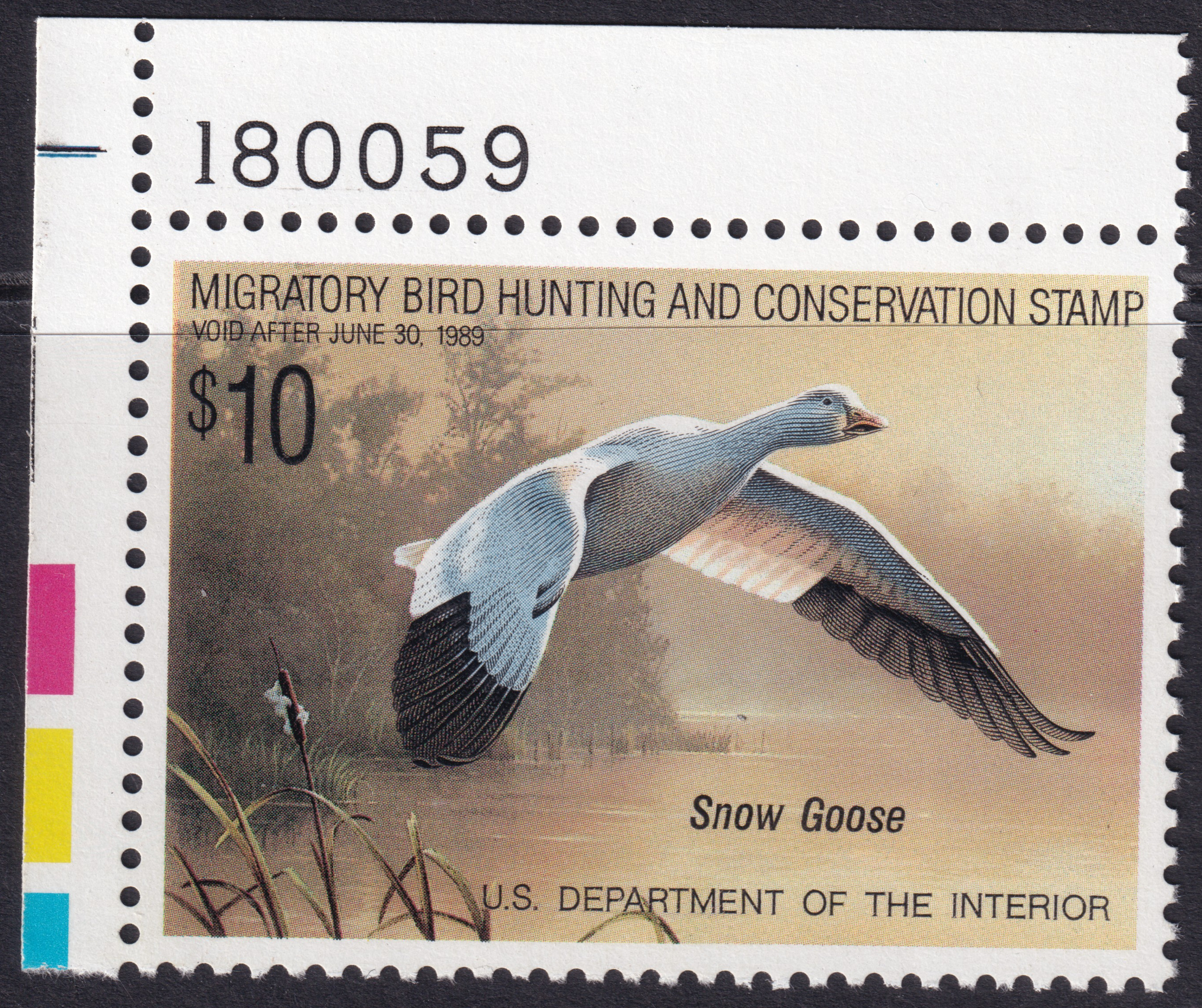 Stamp Picture