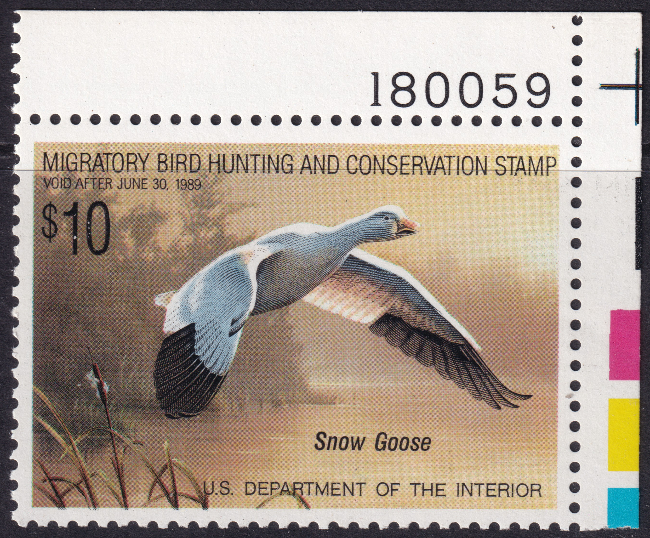 Stamp Picture