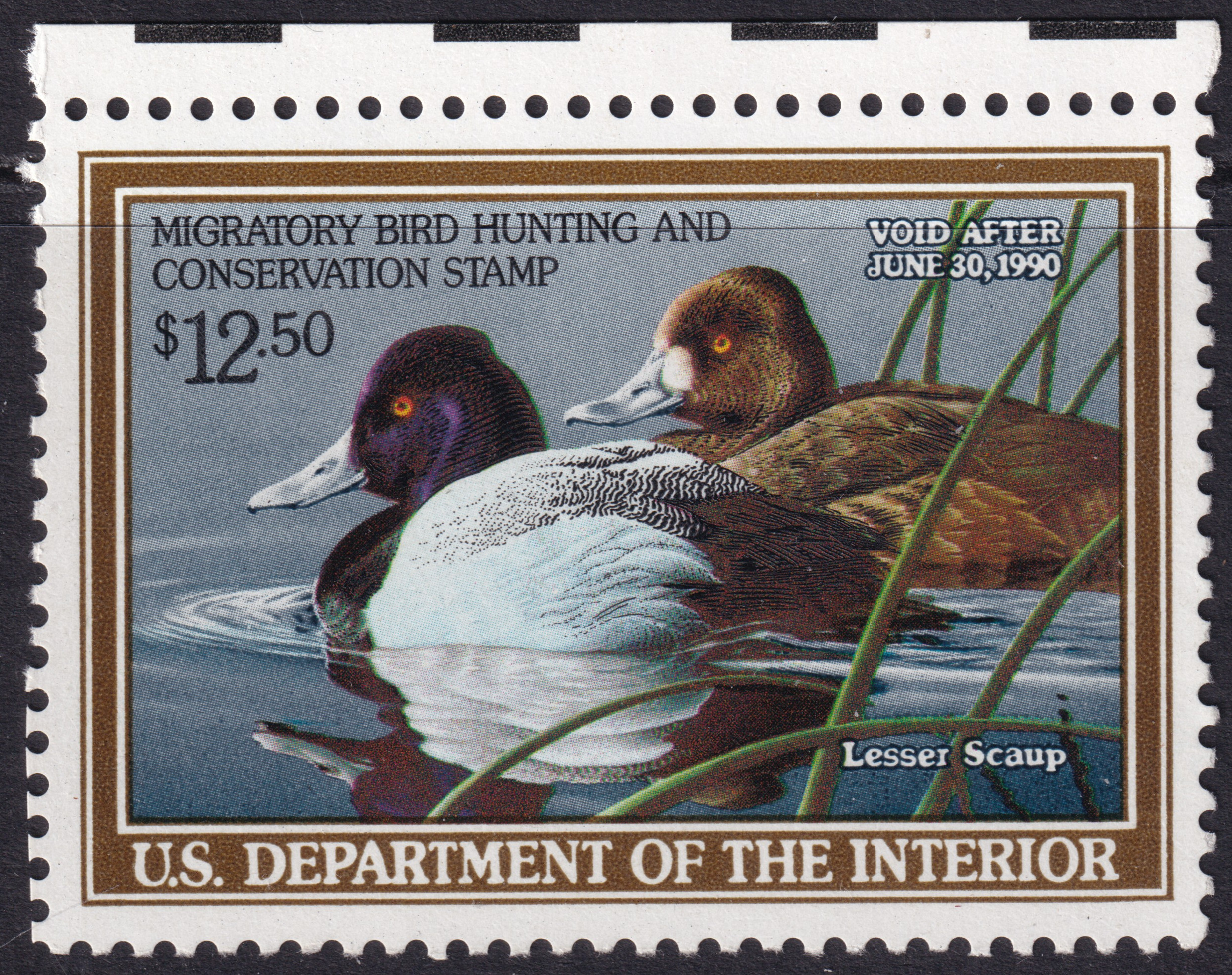 Stamp Picture