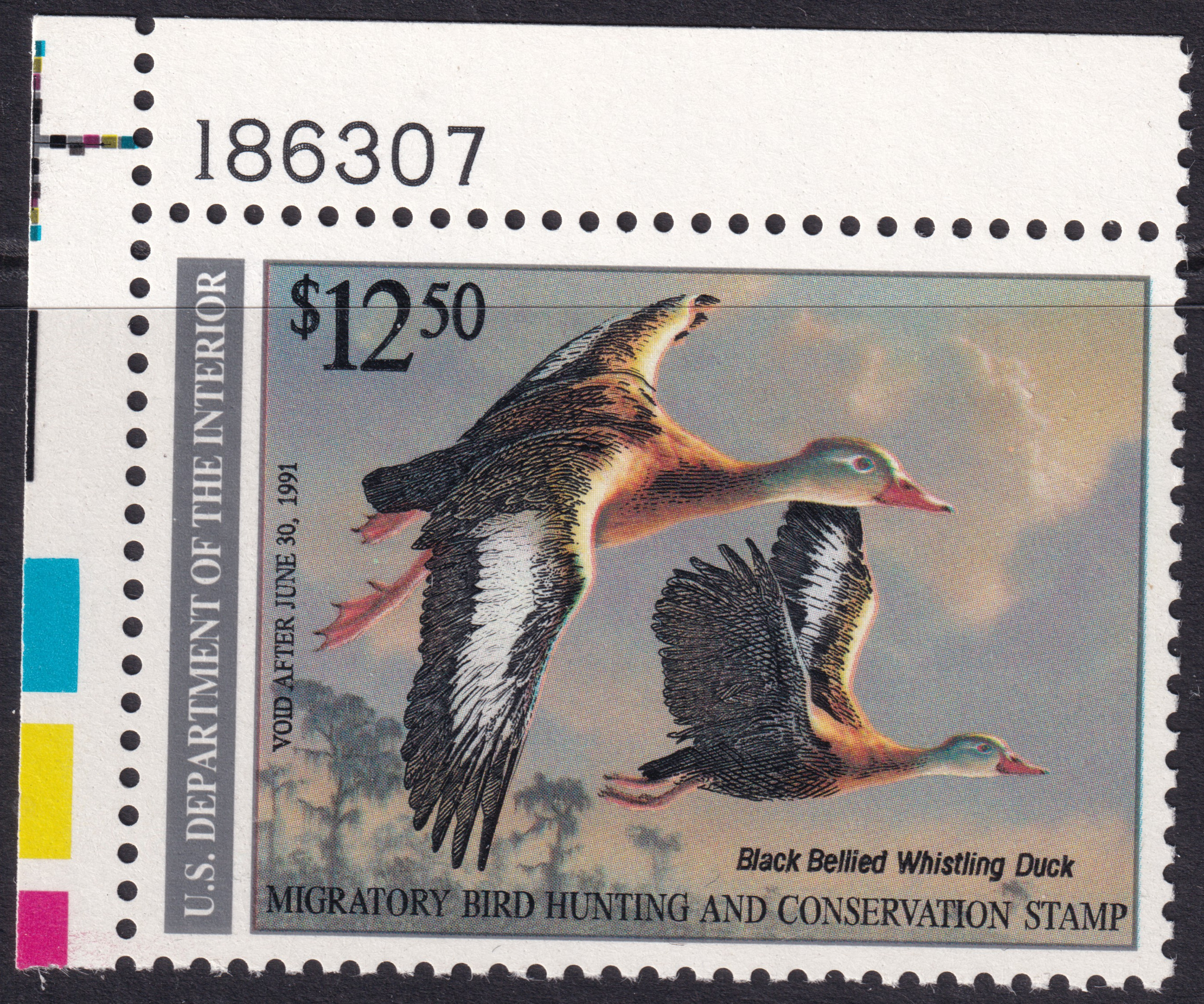 Stamp Picture