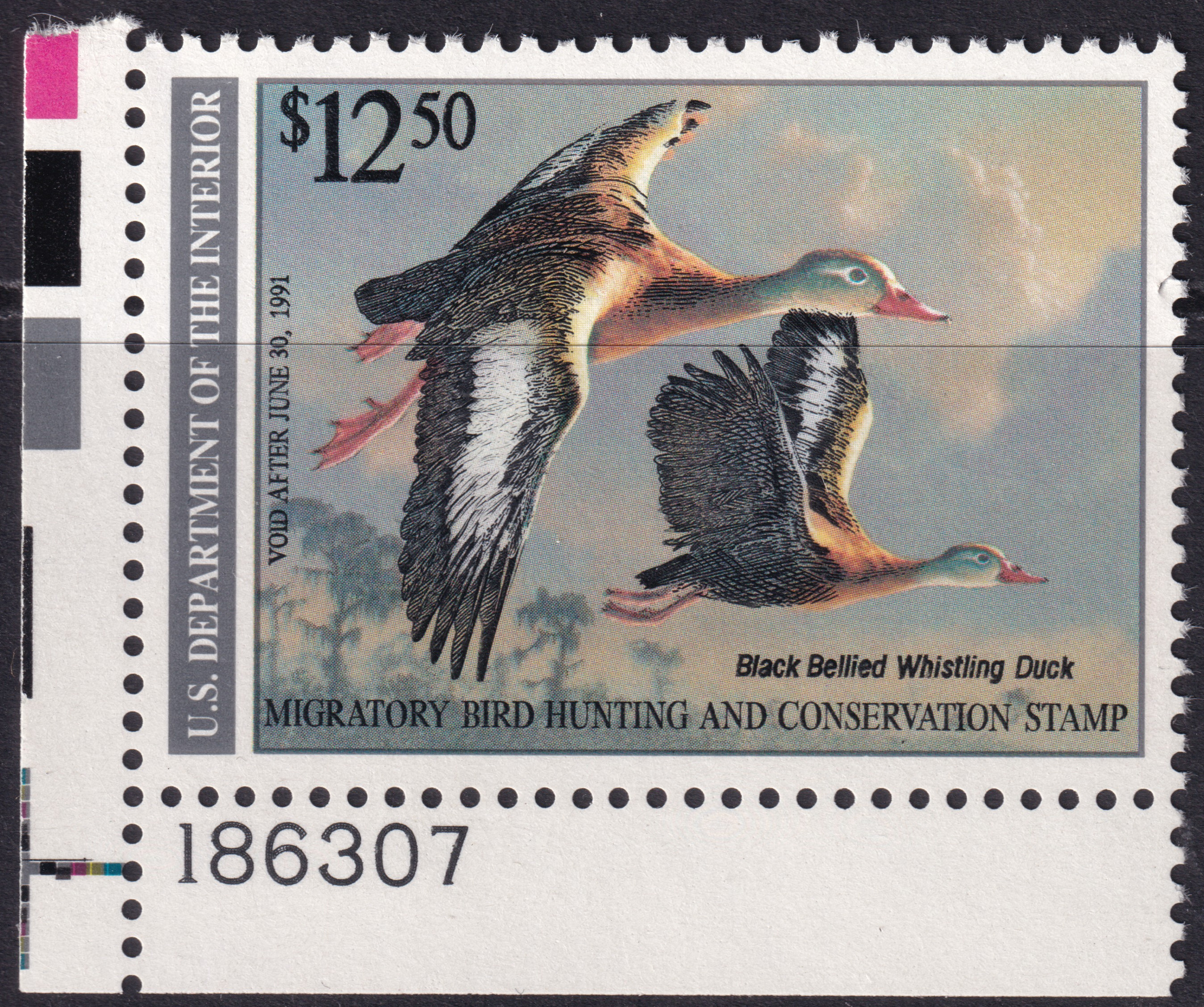 Stamp Picture