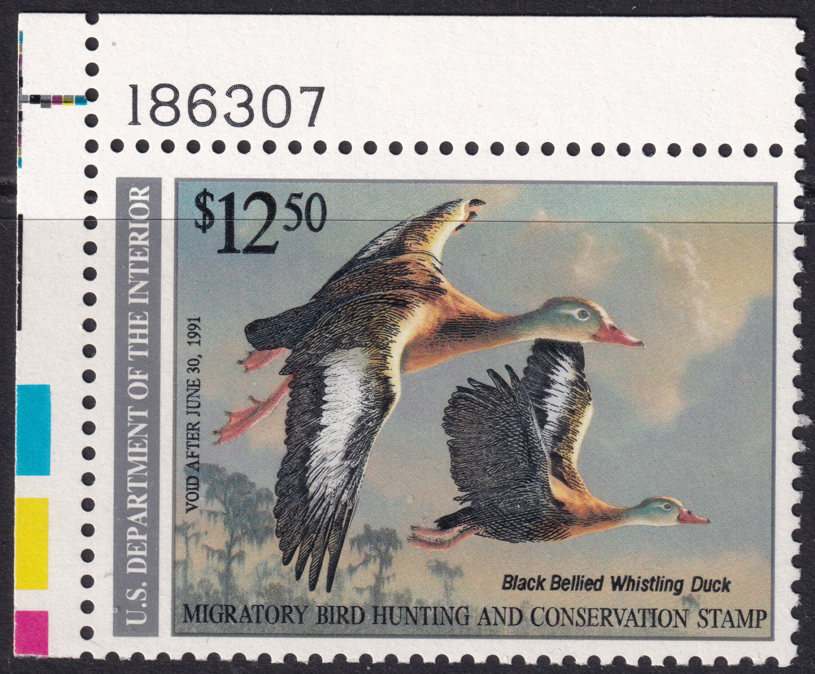 Stamp Picture