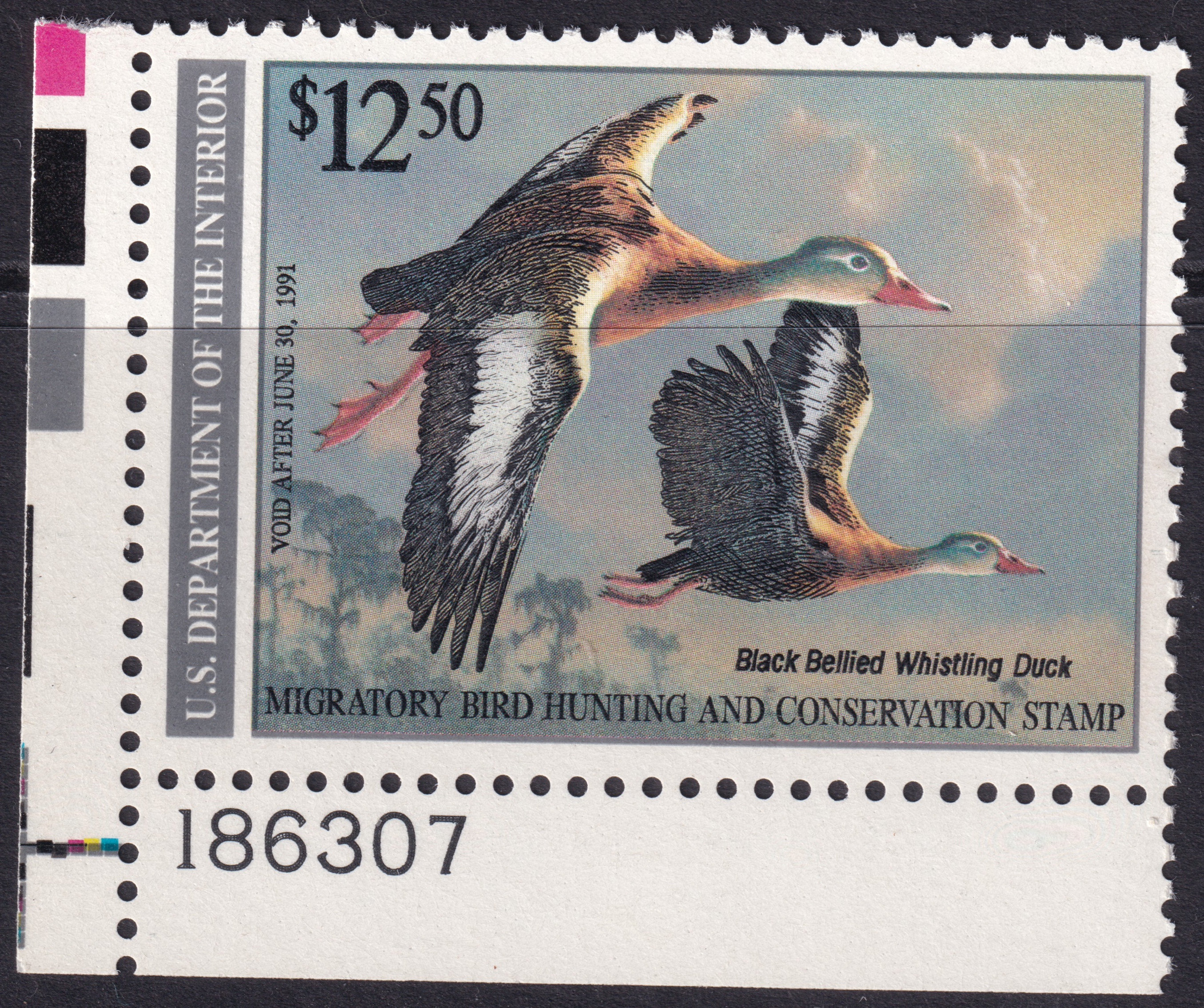 Stamp Picture