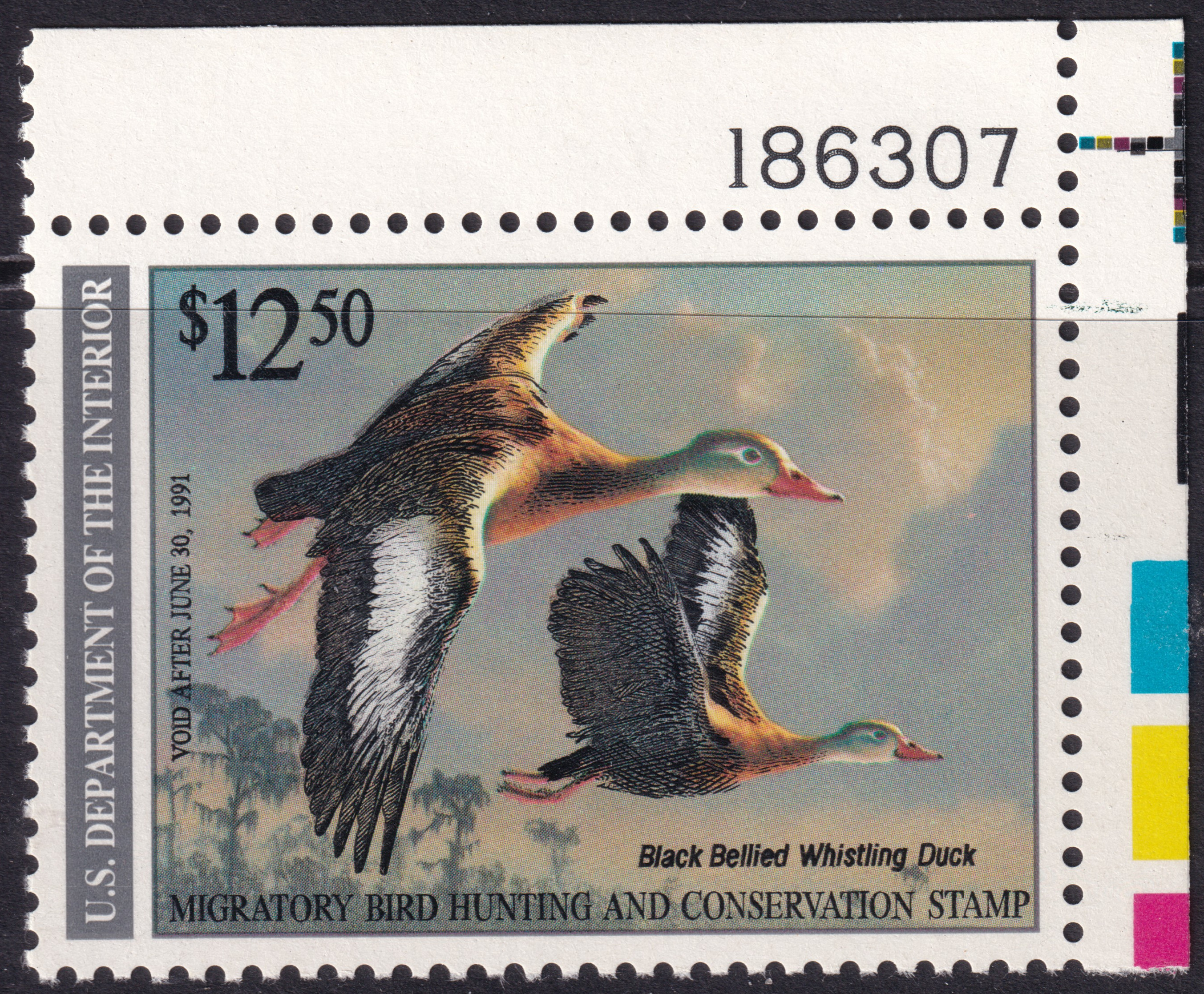 Stamp Picture