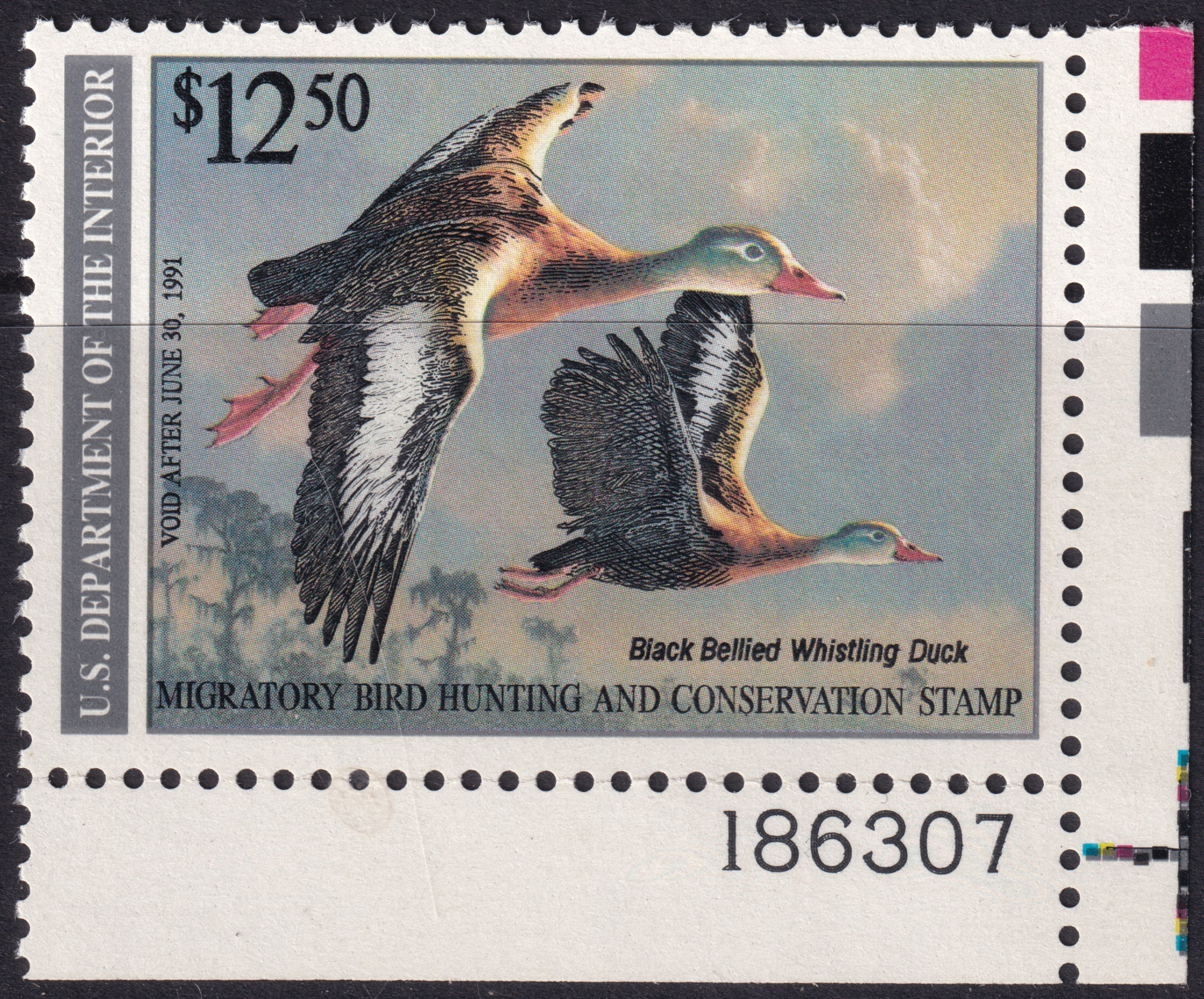 Stamp Picture