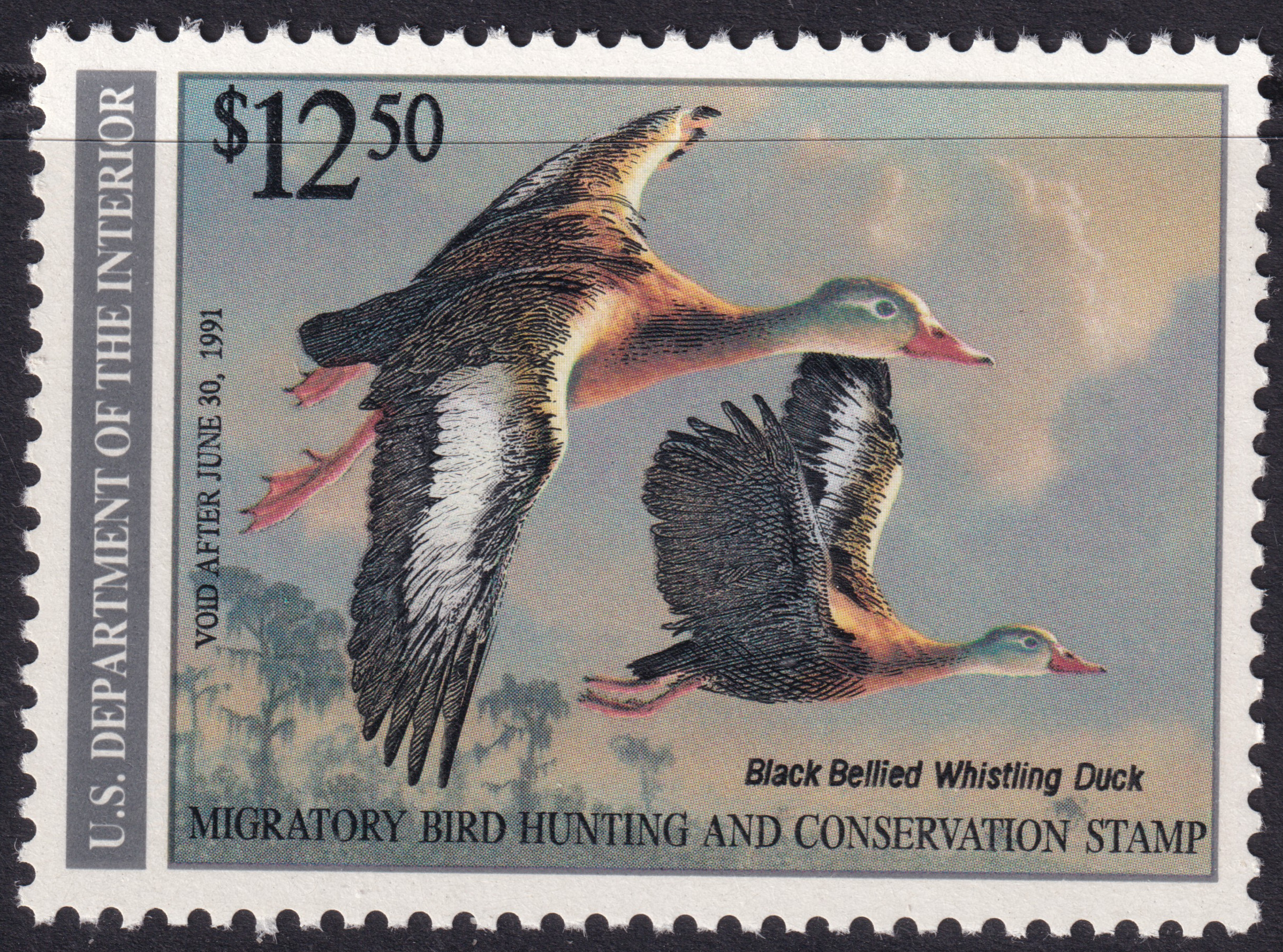 Stamp Picture