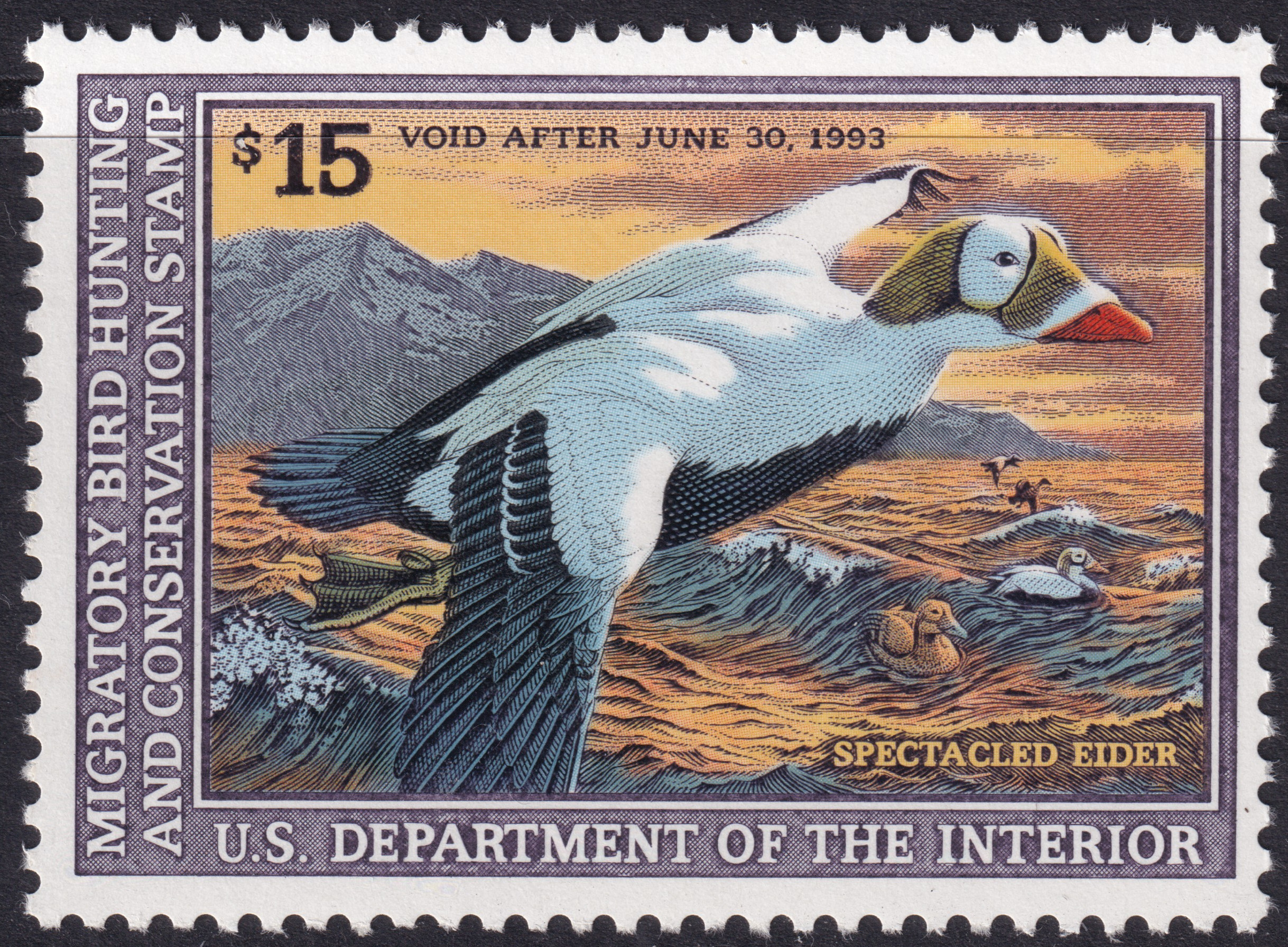 Stamp Picture