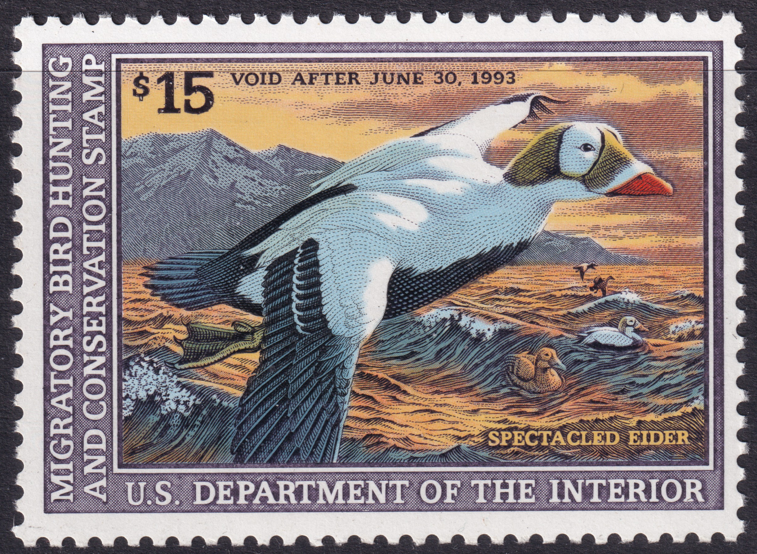 Stamp Picture