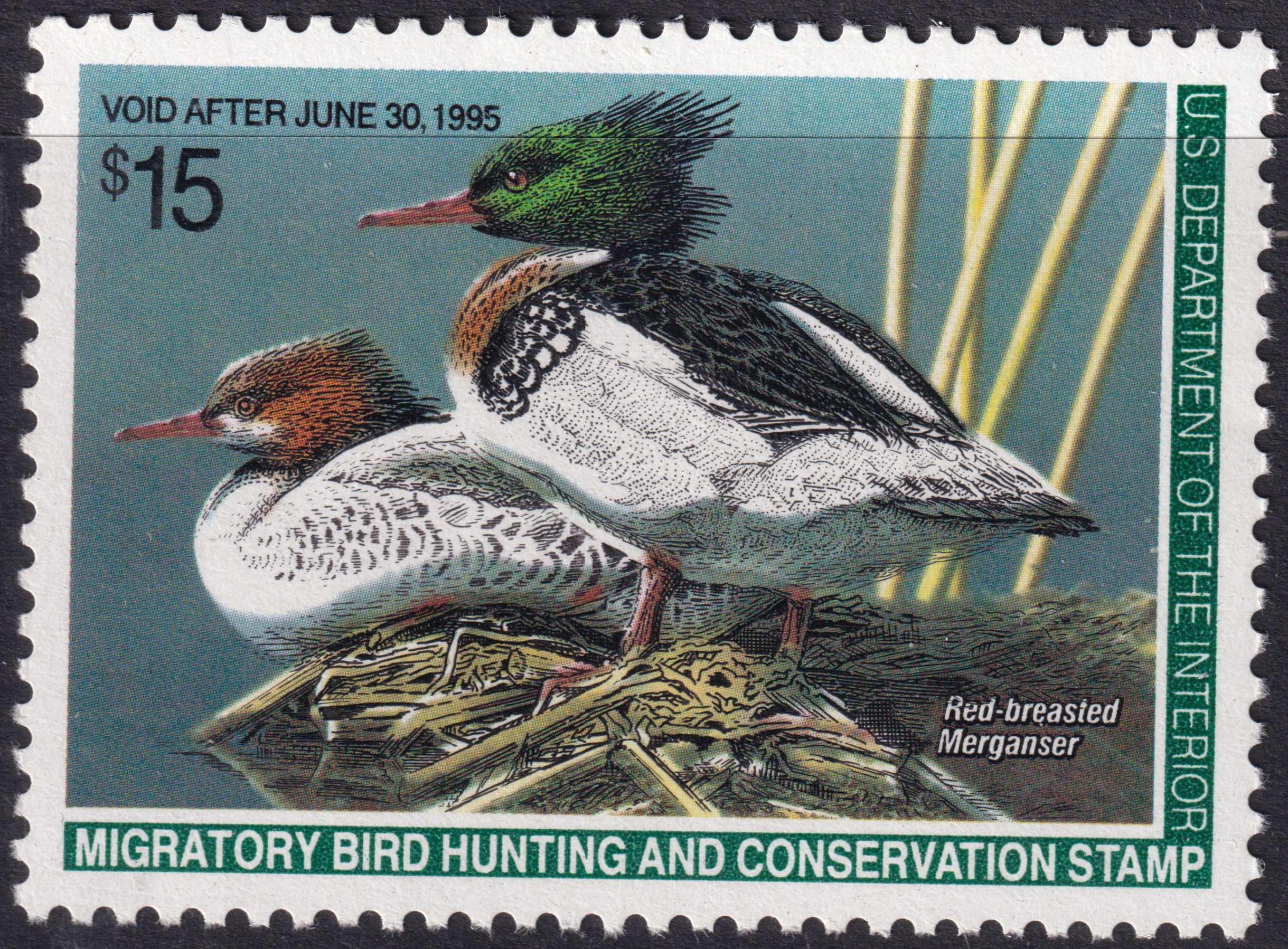 Stamp Picture