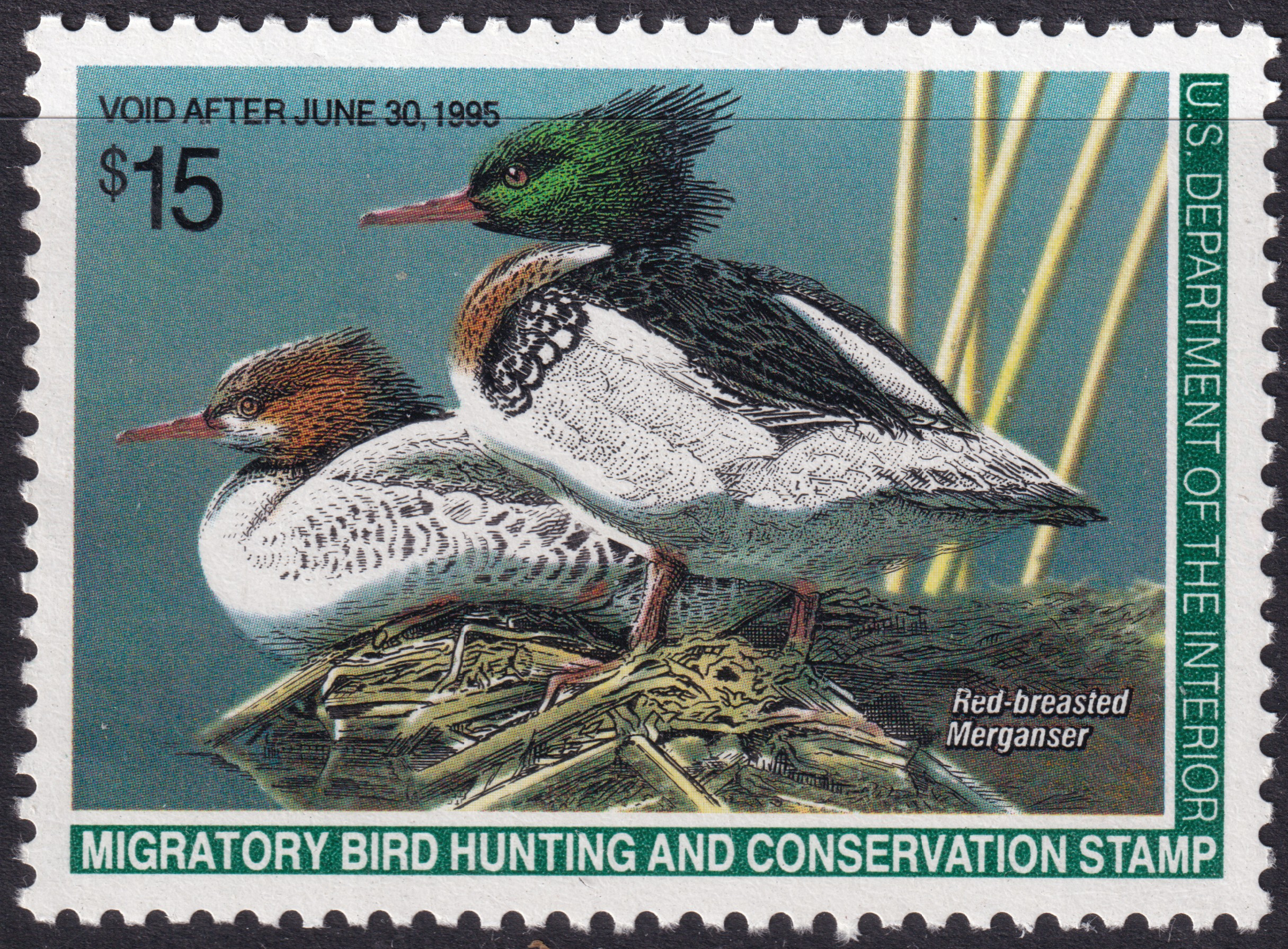 Stamp Picture