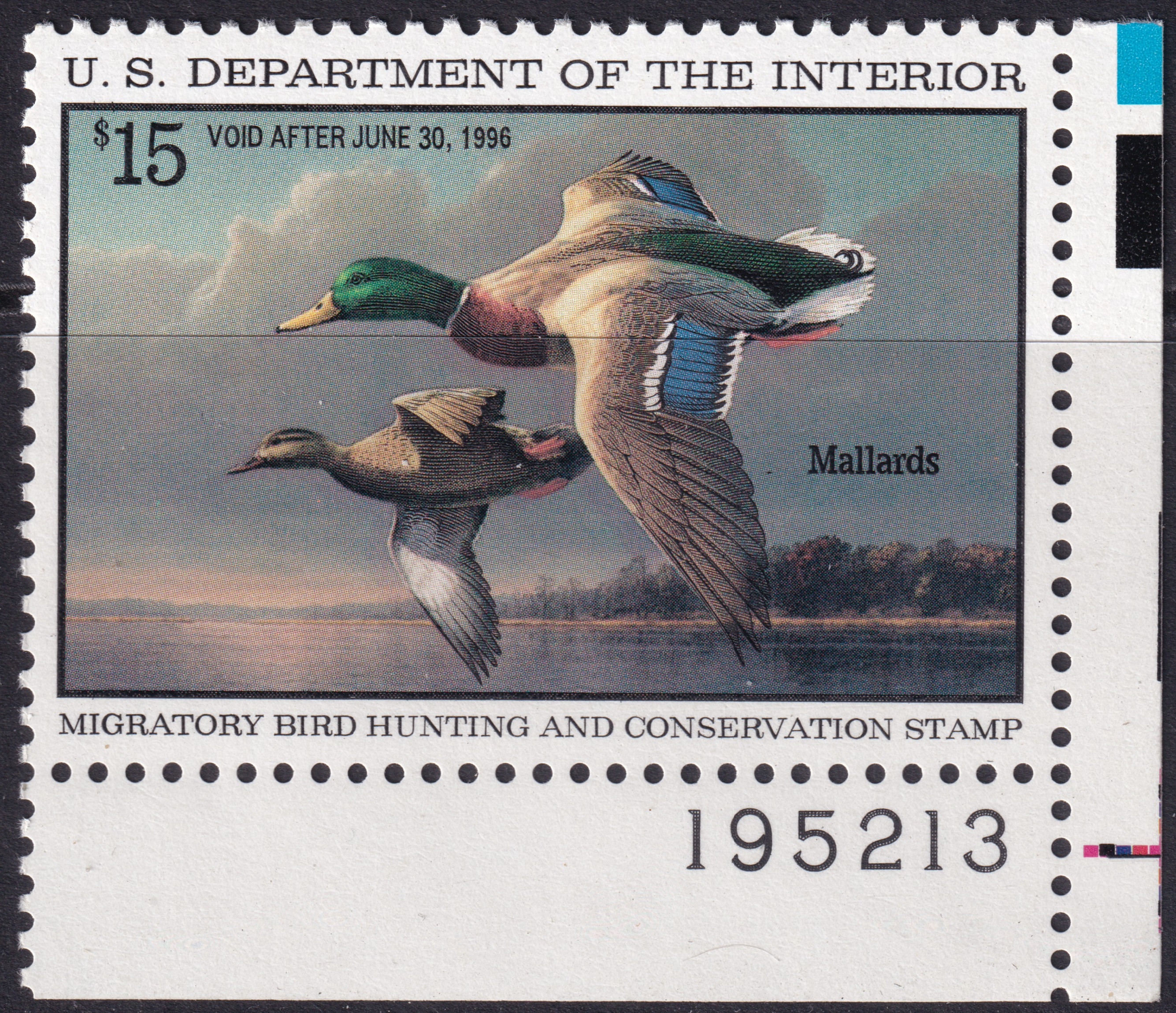 Stamp Picture