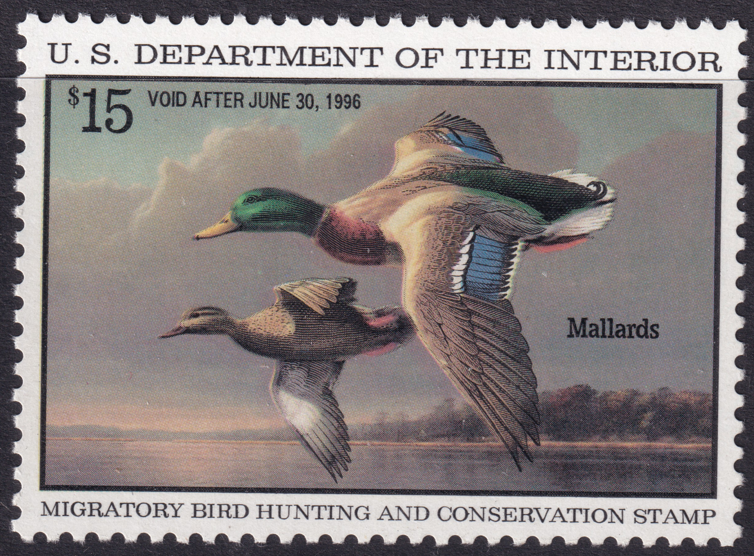 Stamp Picture