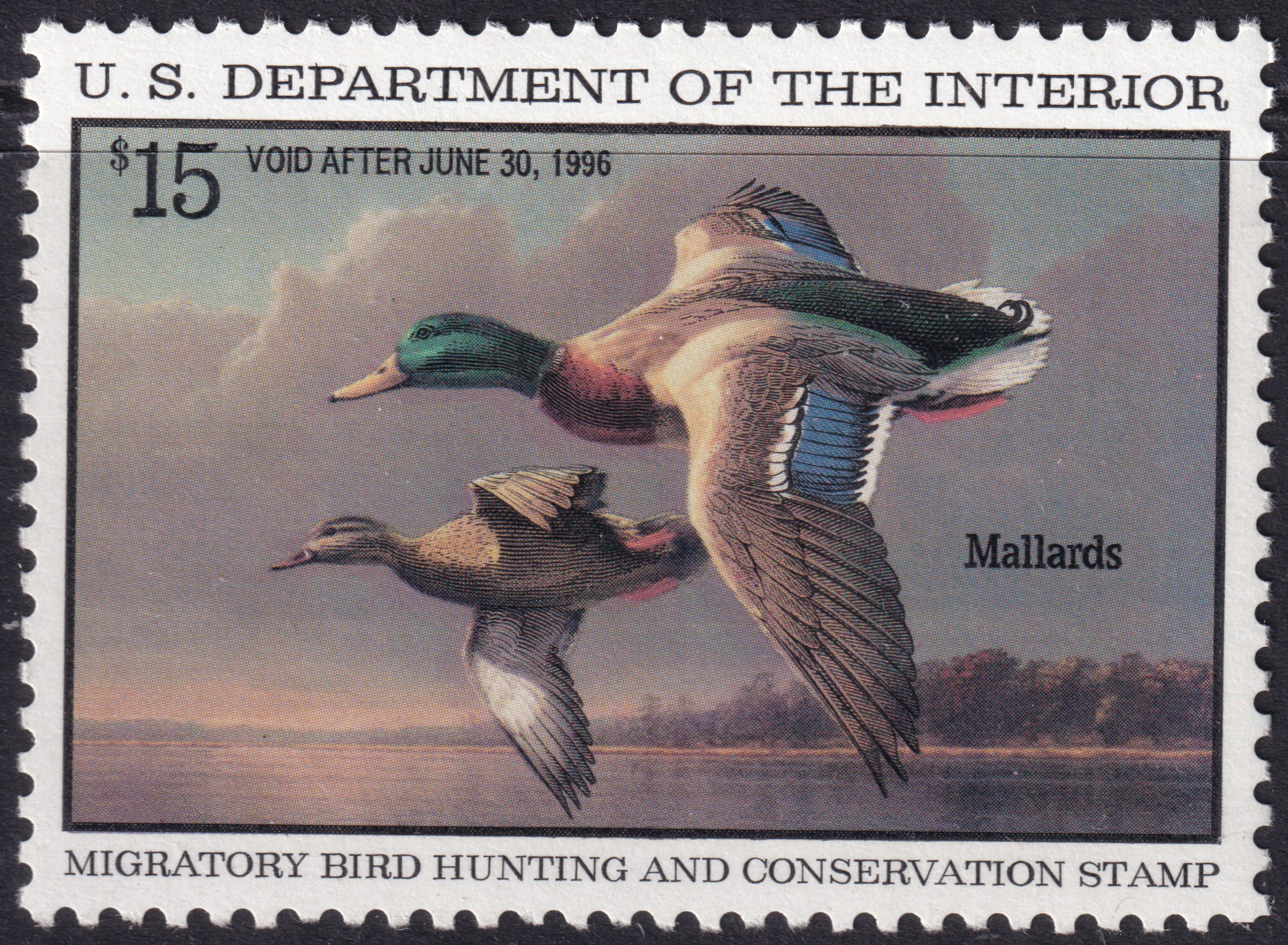 Stamp Picture