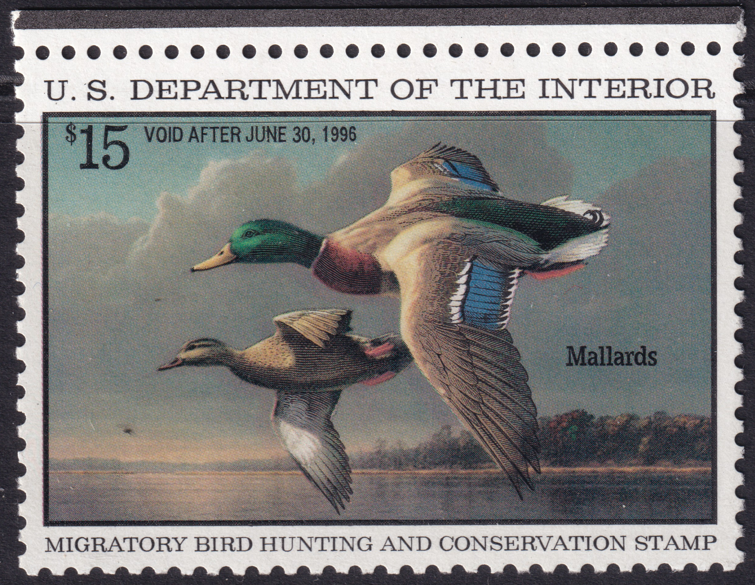 Stamp Picture