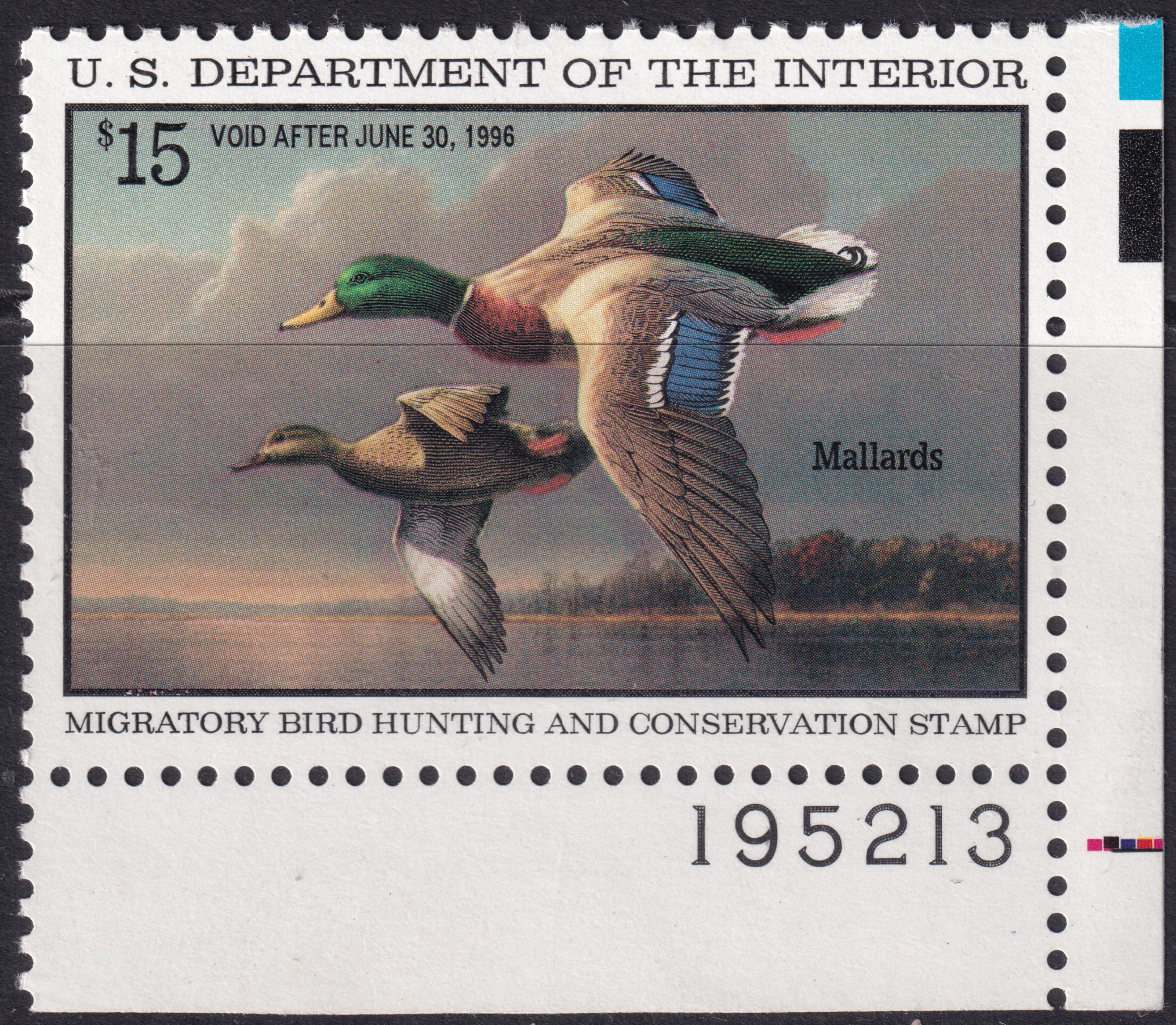 Stamp Picture