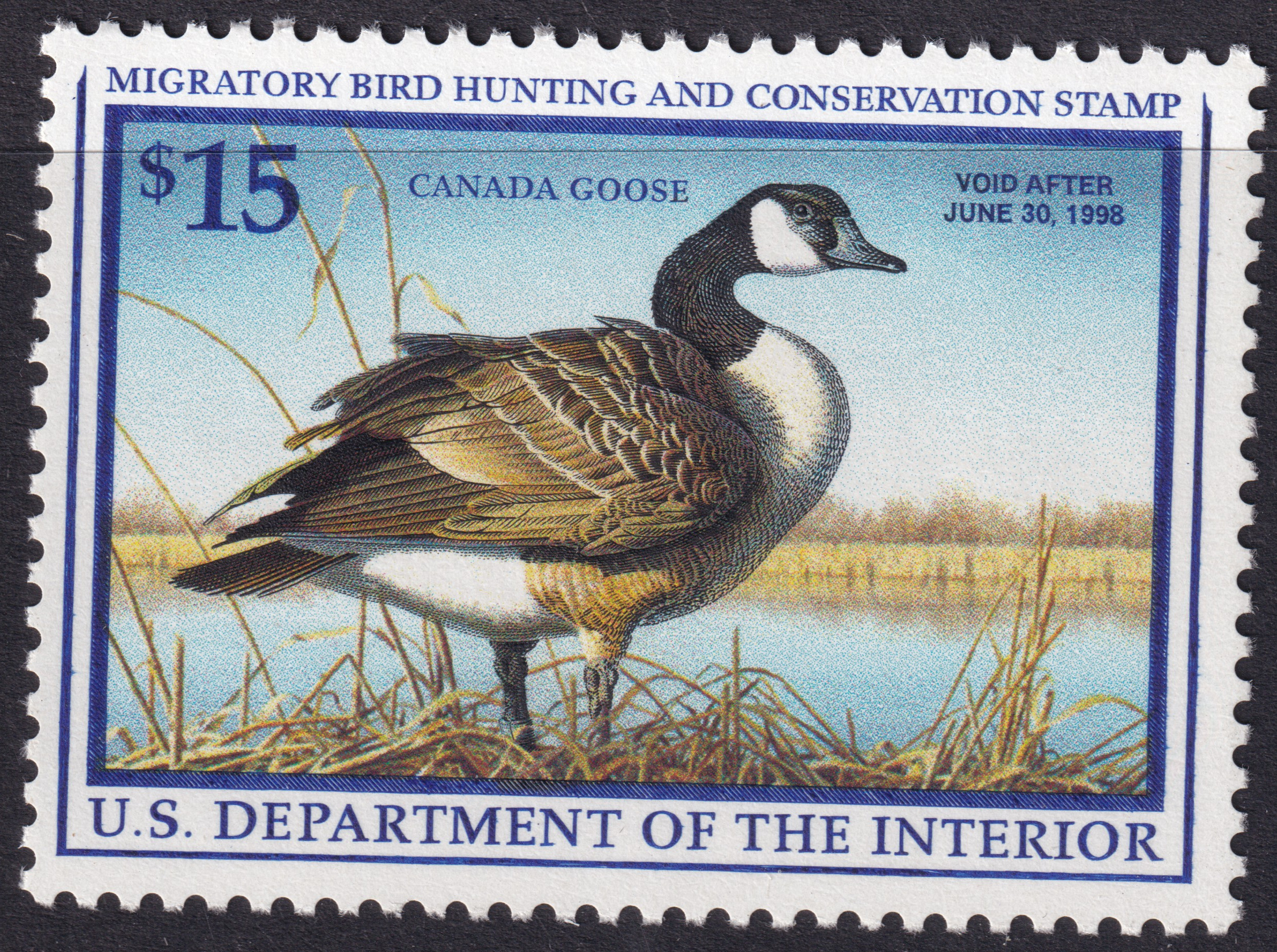 Stamp Picture