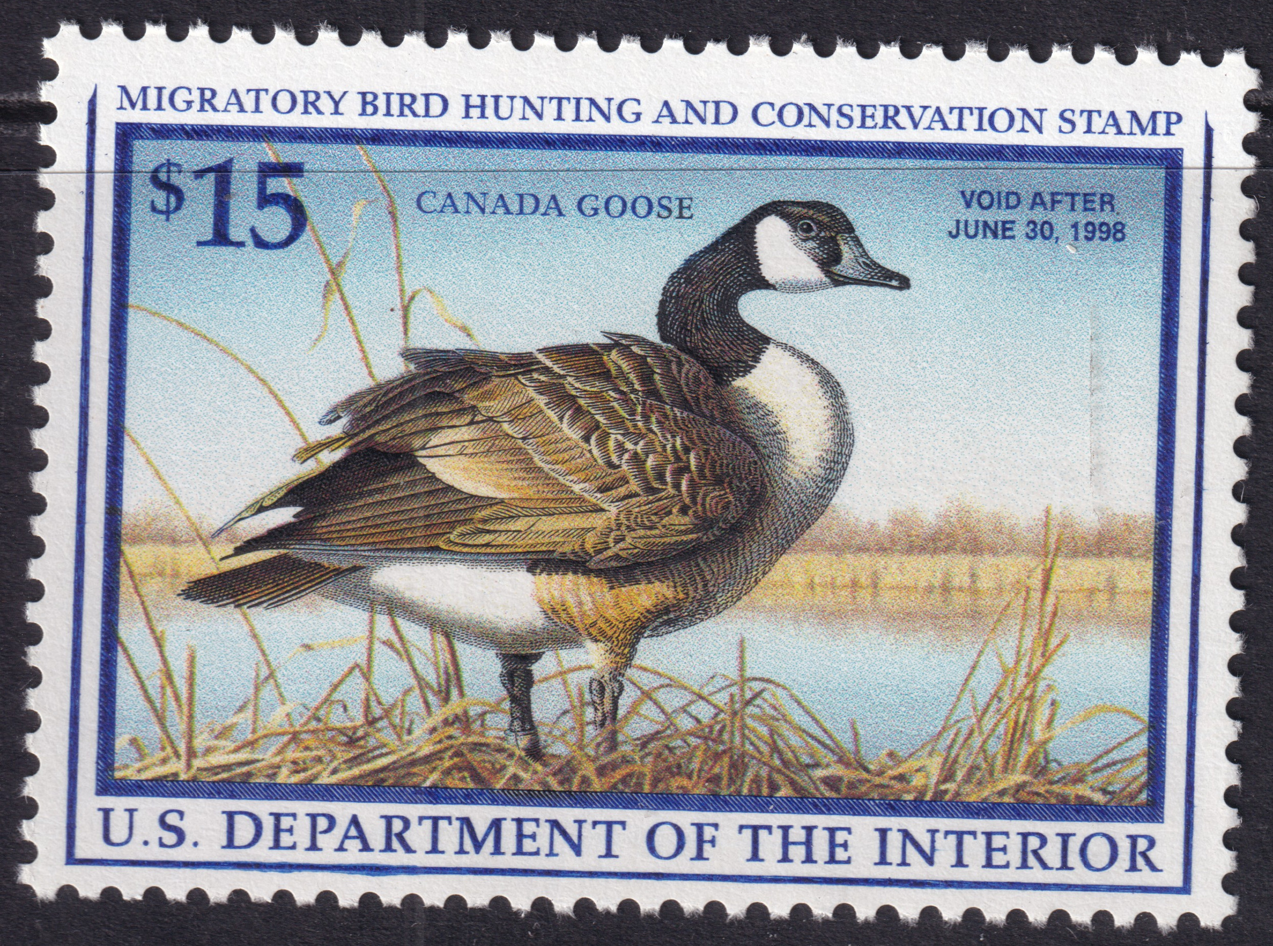 Stamp Picture