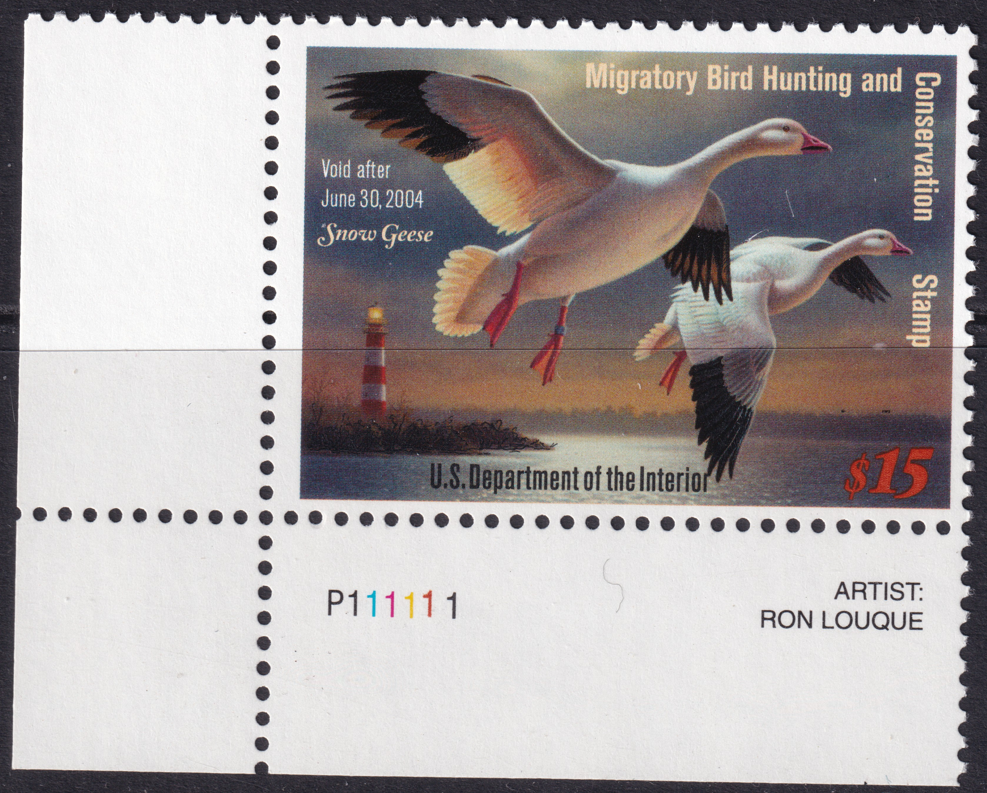 Stamp Picture
