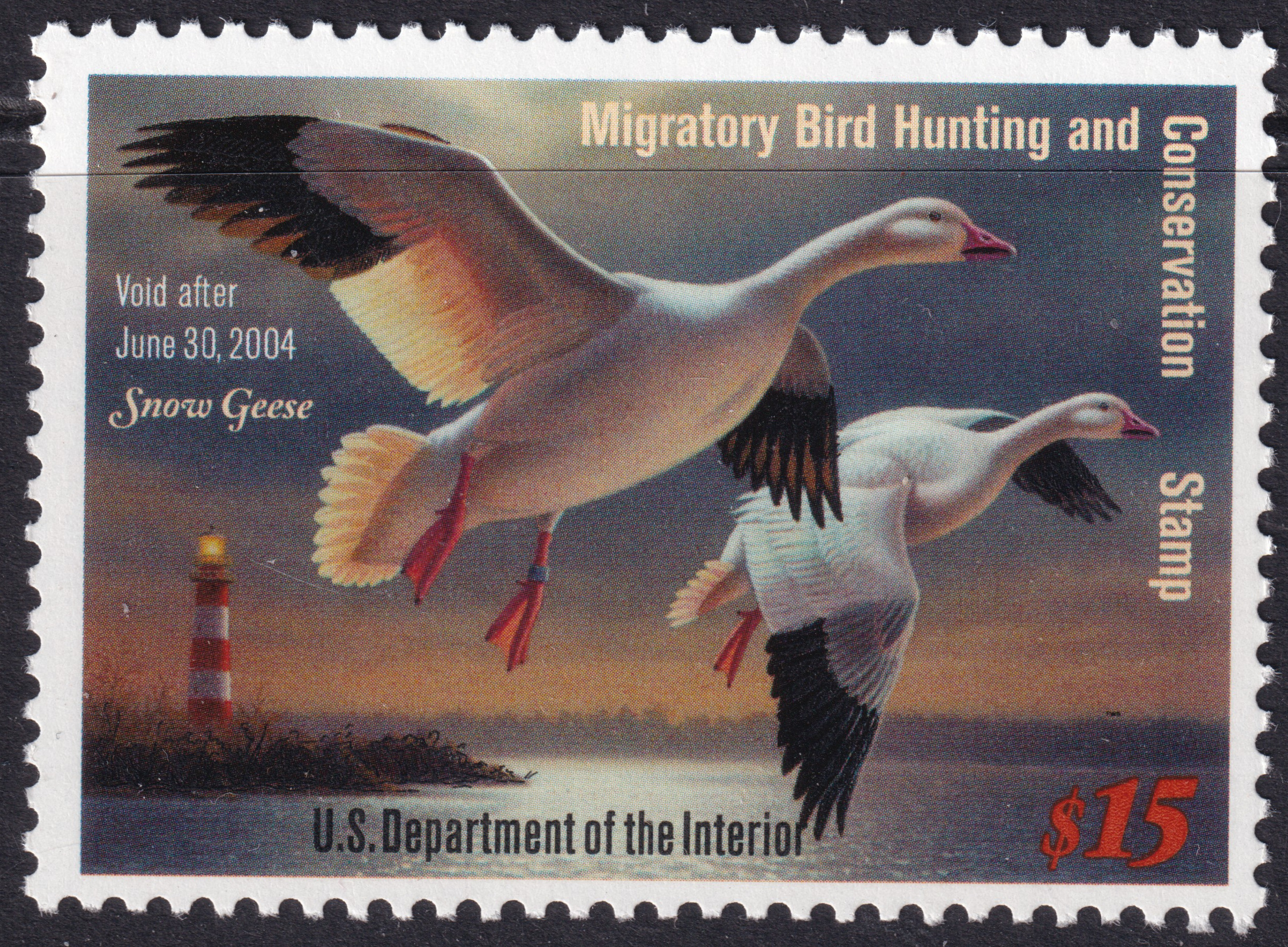 Stamp Picture