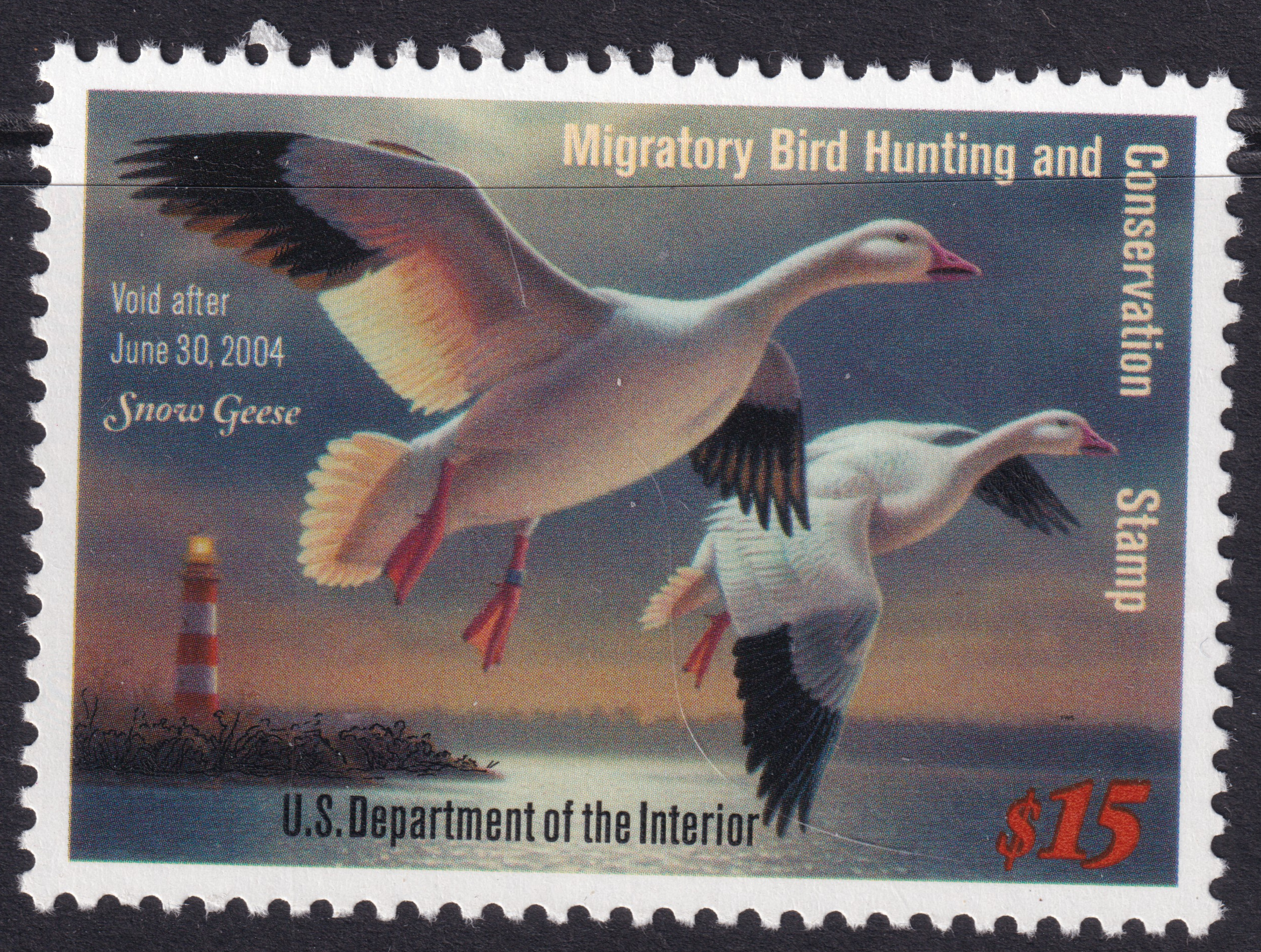 Stamp Picture