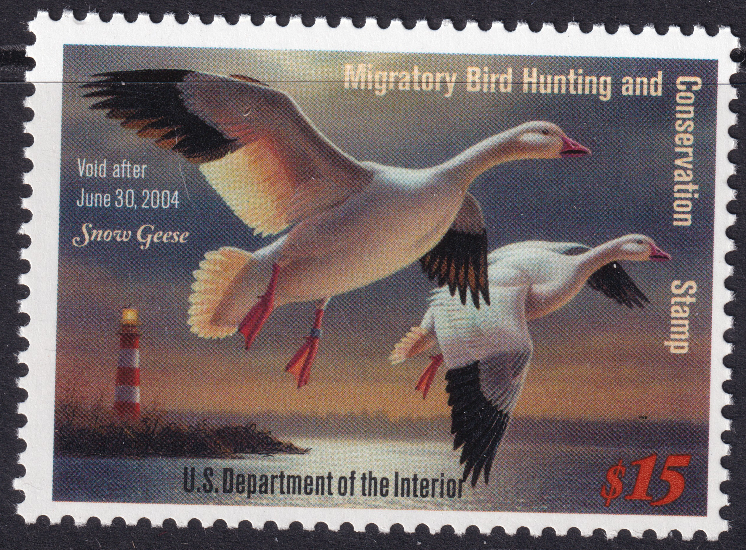 Stamp Picture