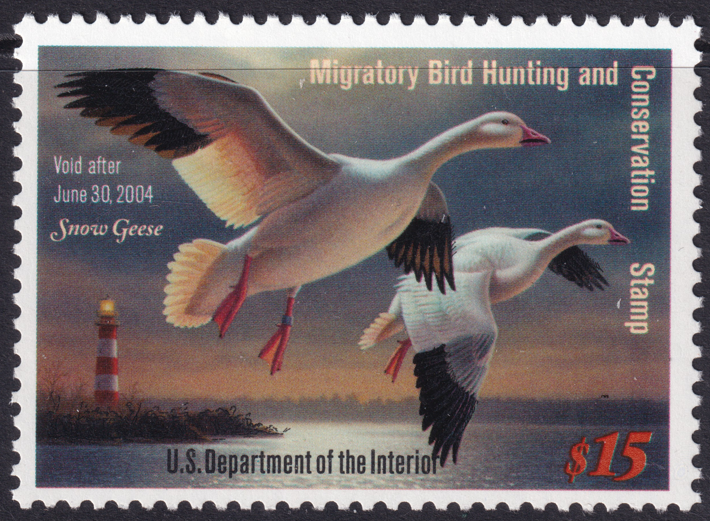 Stamp Picture