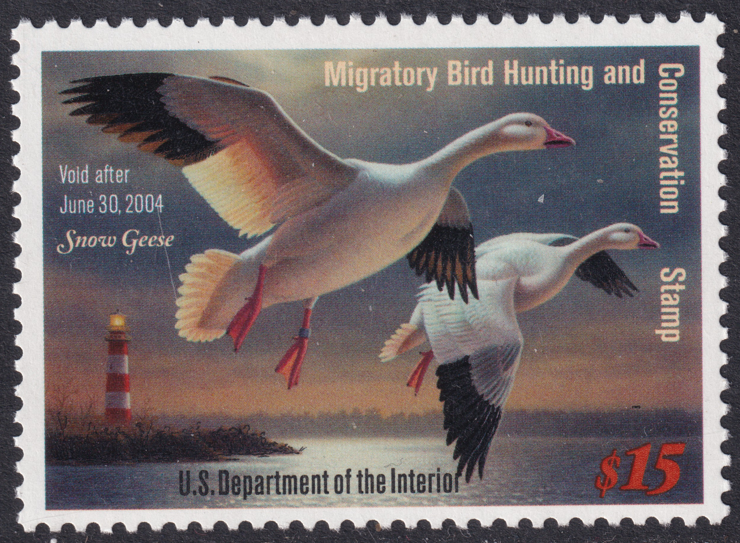 Stamp Picture