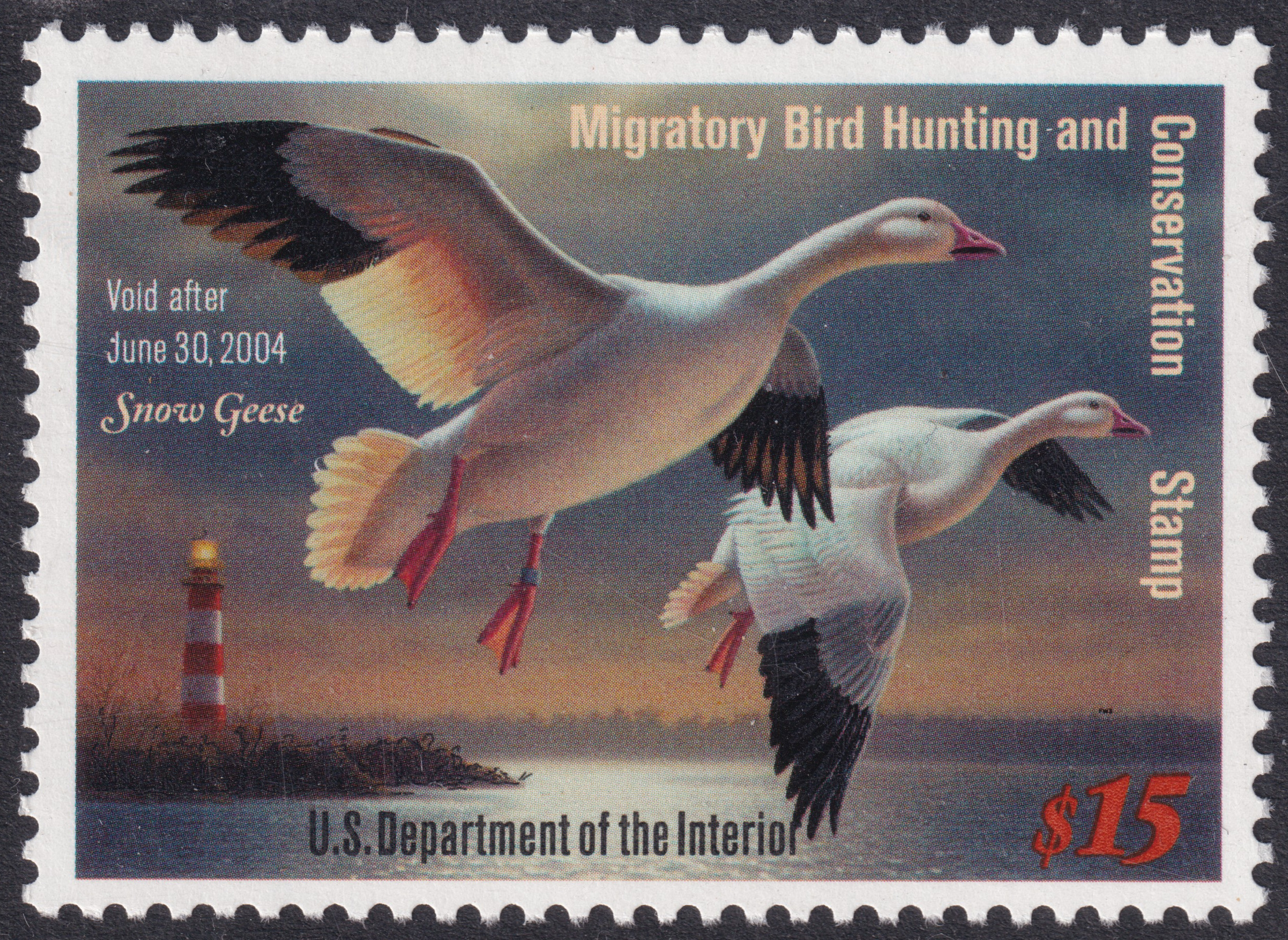 Stamp Picture