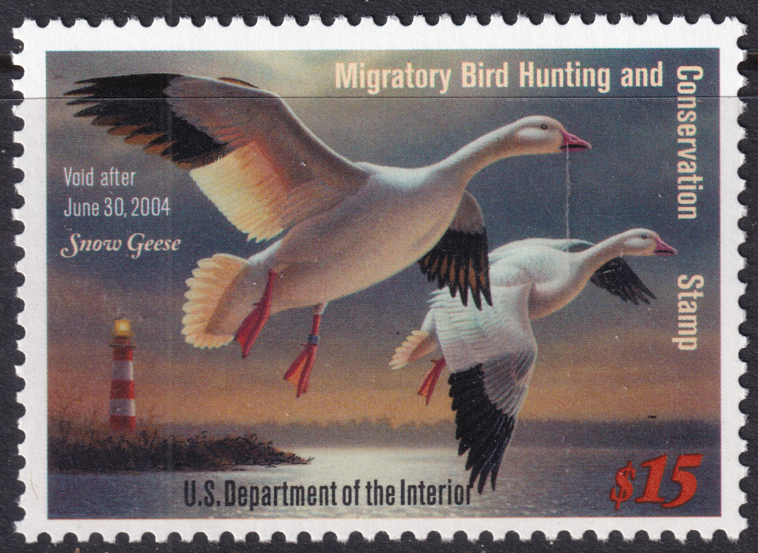 Stamp Picture