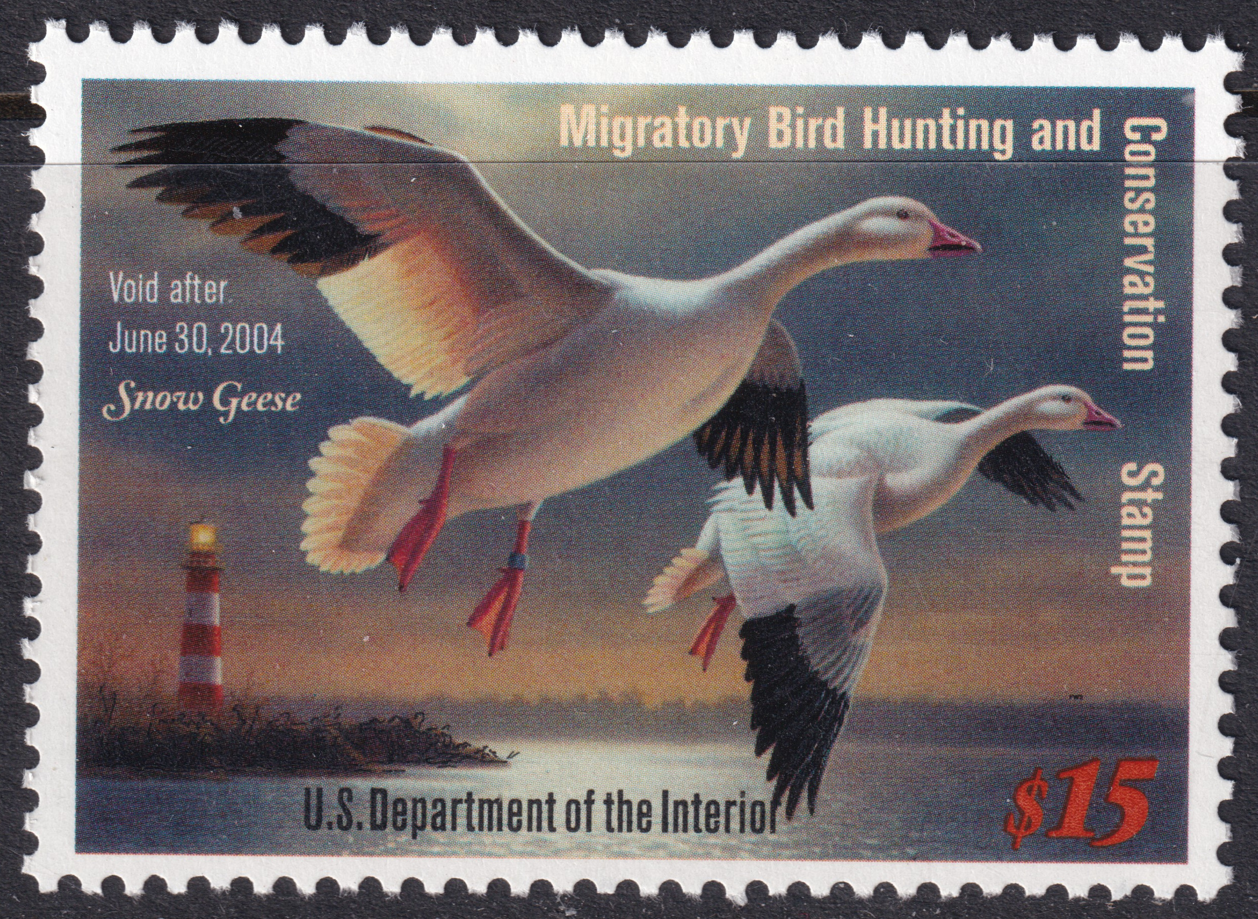 Stamp Picture