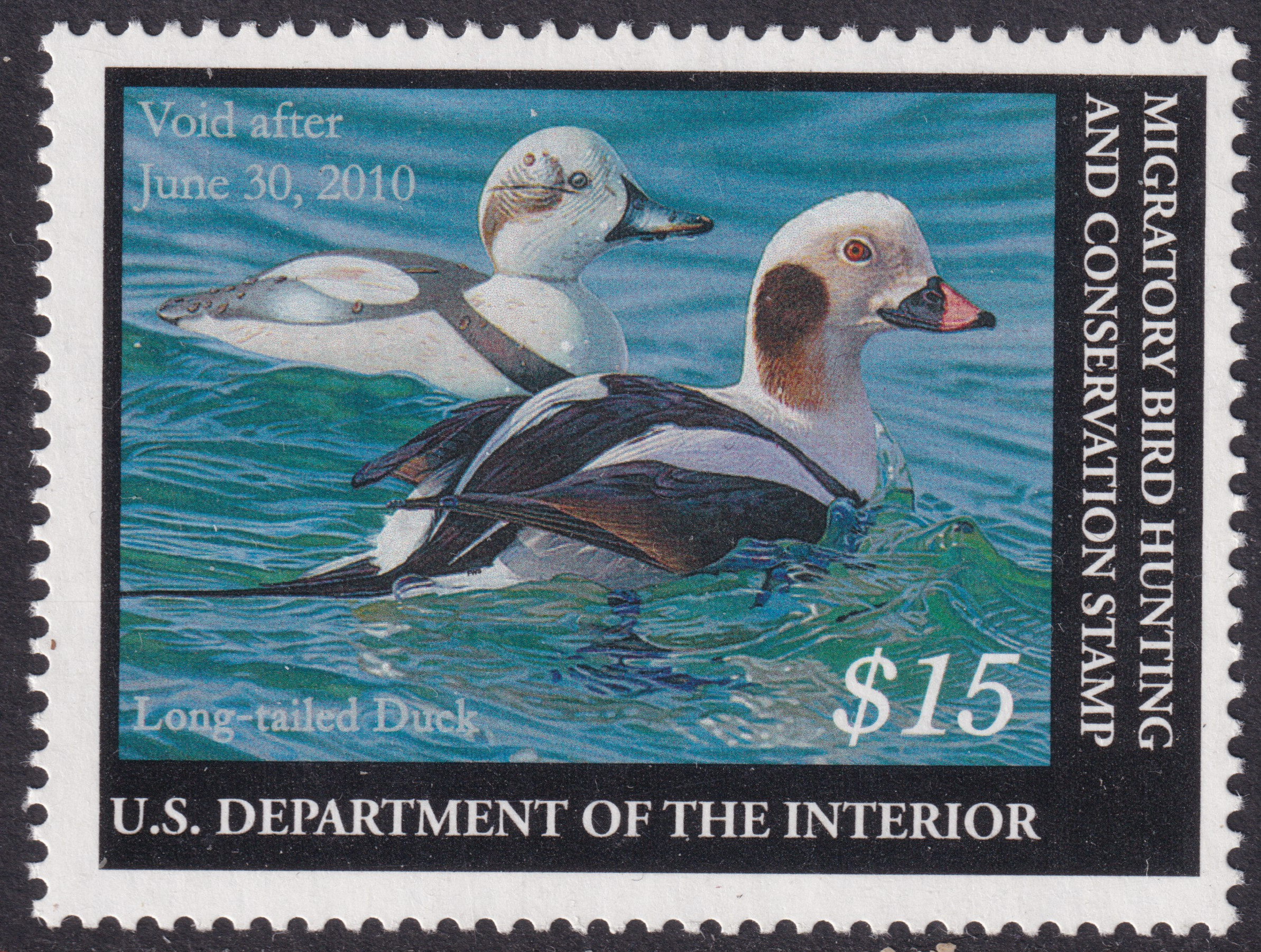 Stamp Picture