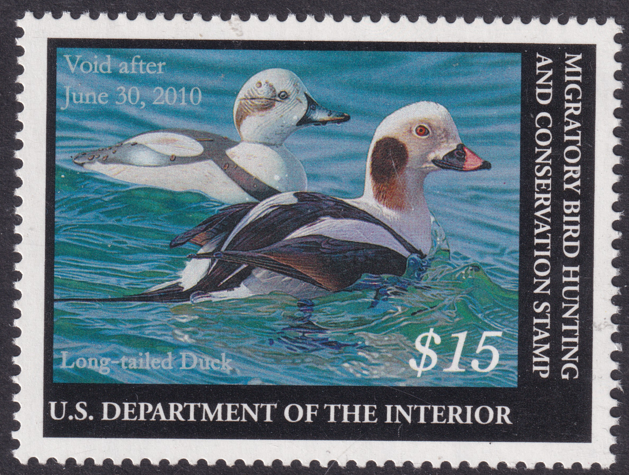 Stamp Picture
