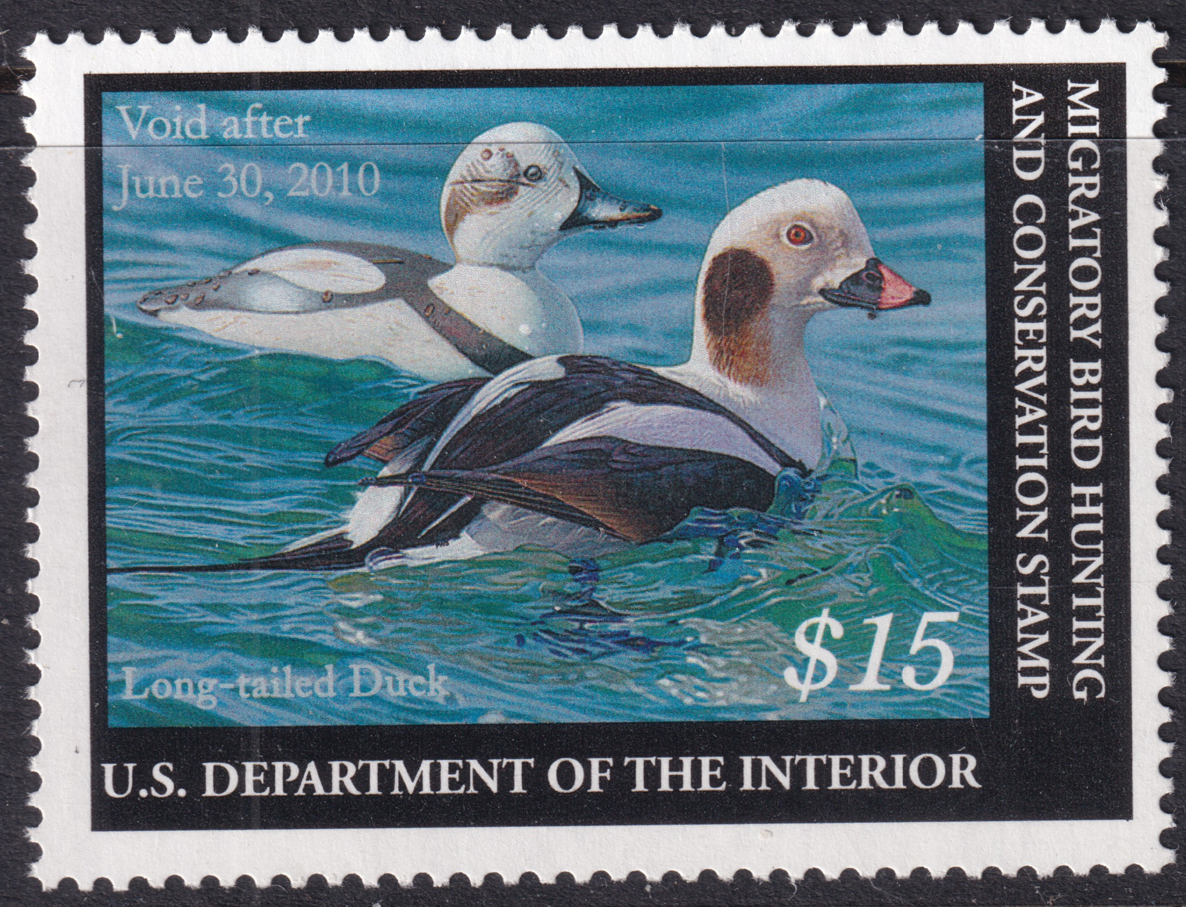 Stamp Picture