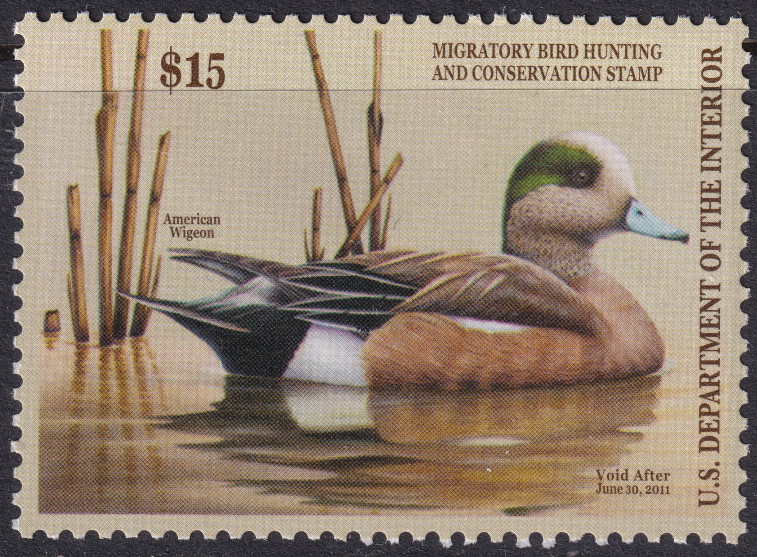 Stamp Picture