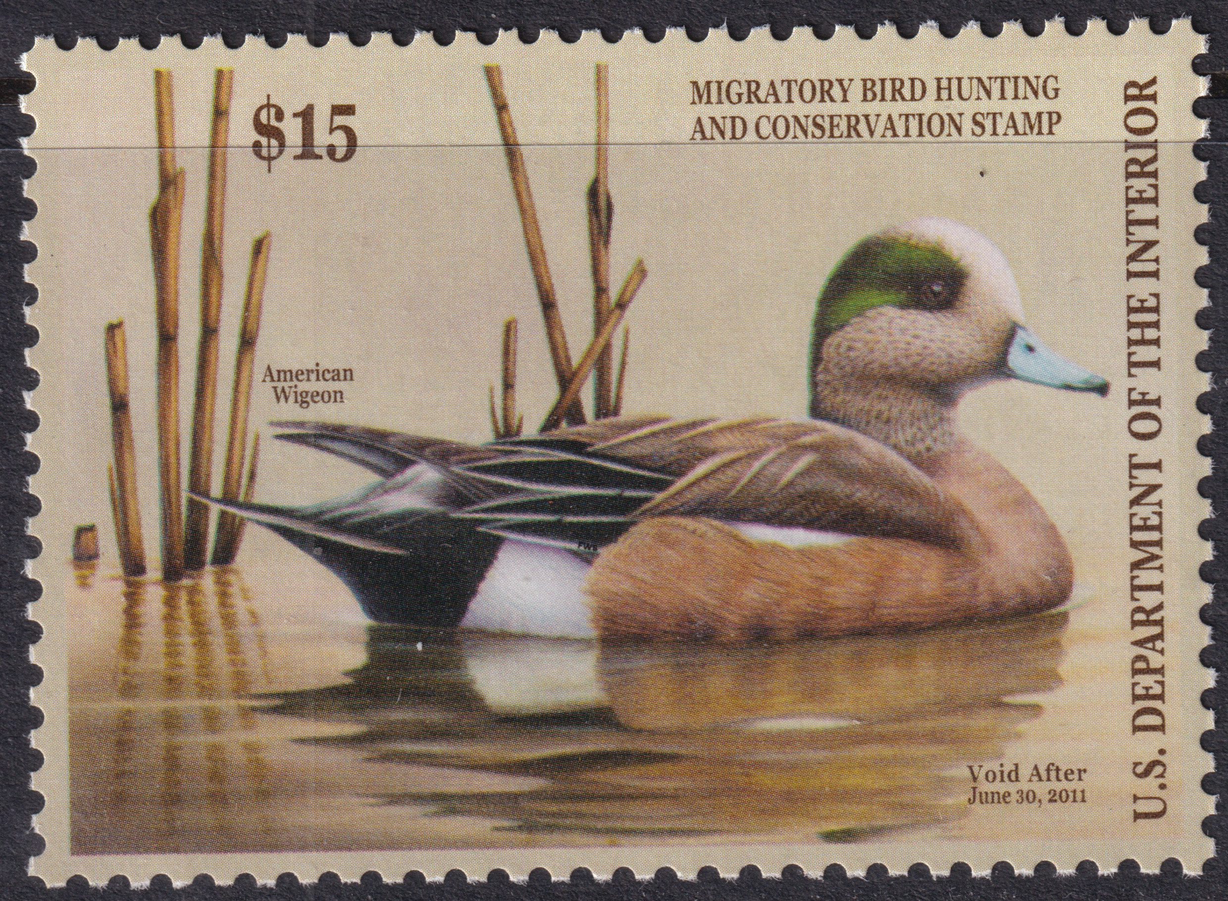 Stamp Picture