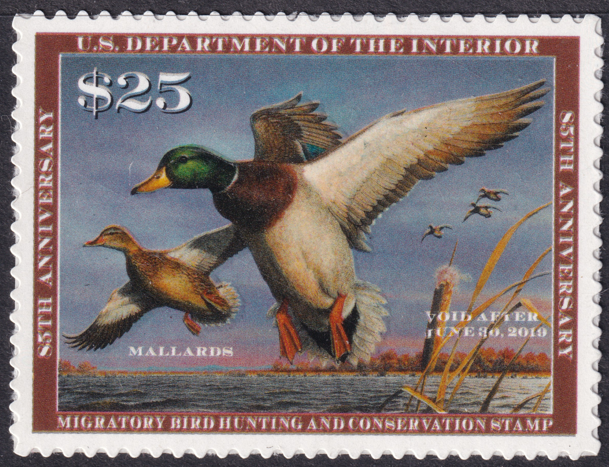 Stamp Picture
