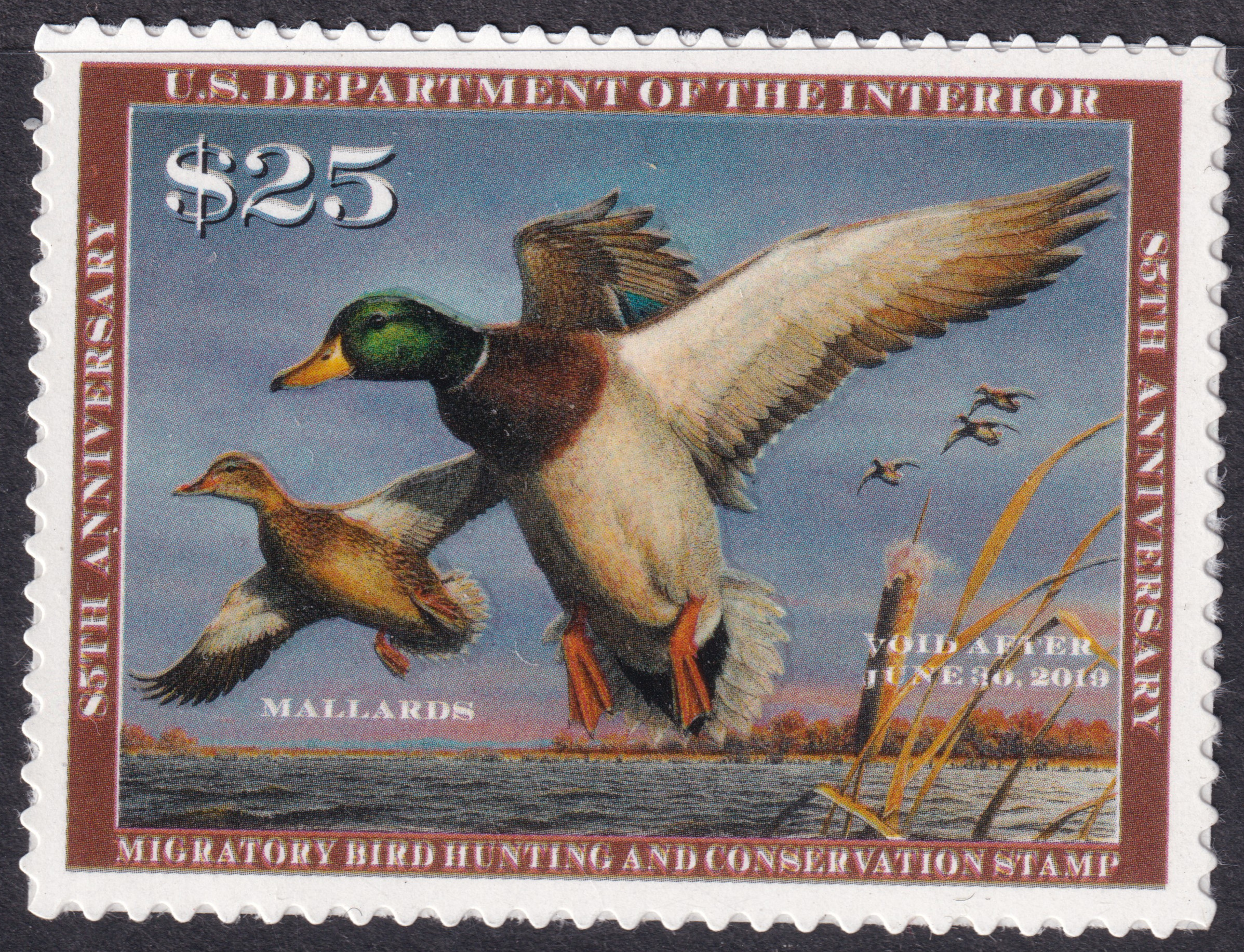 Stamp Picture