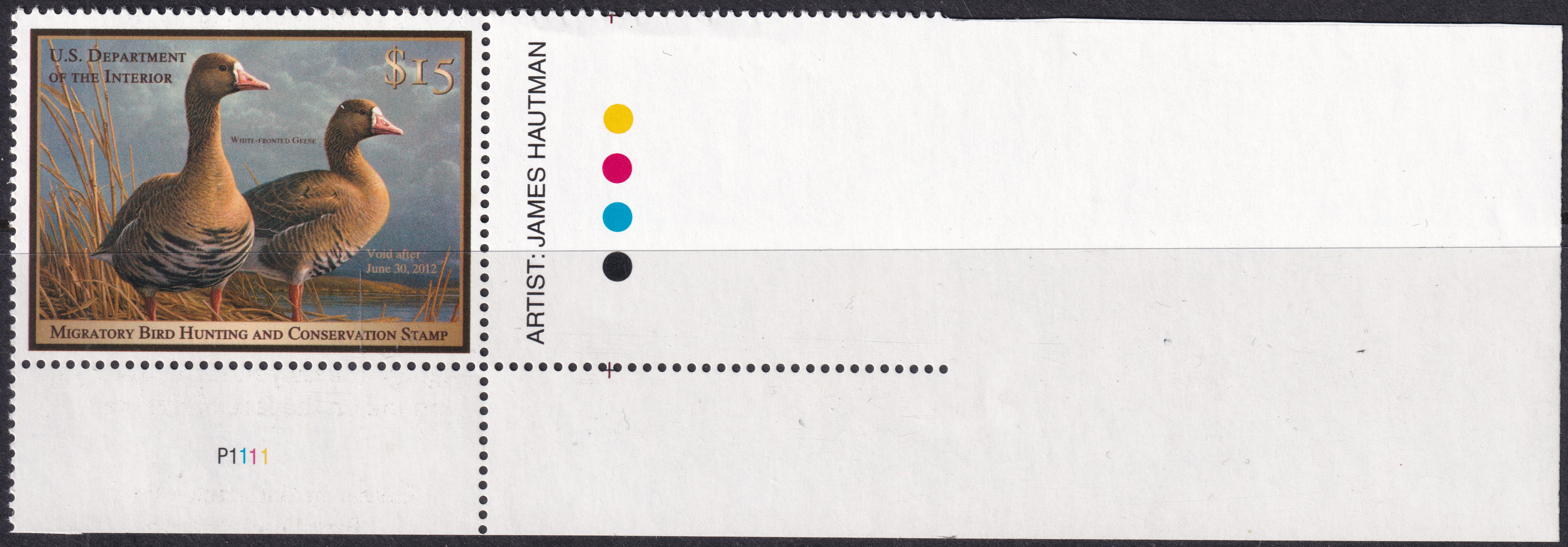 Stamp Picture
