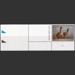 Picture of Lot #55630