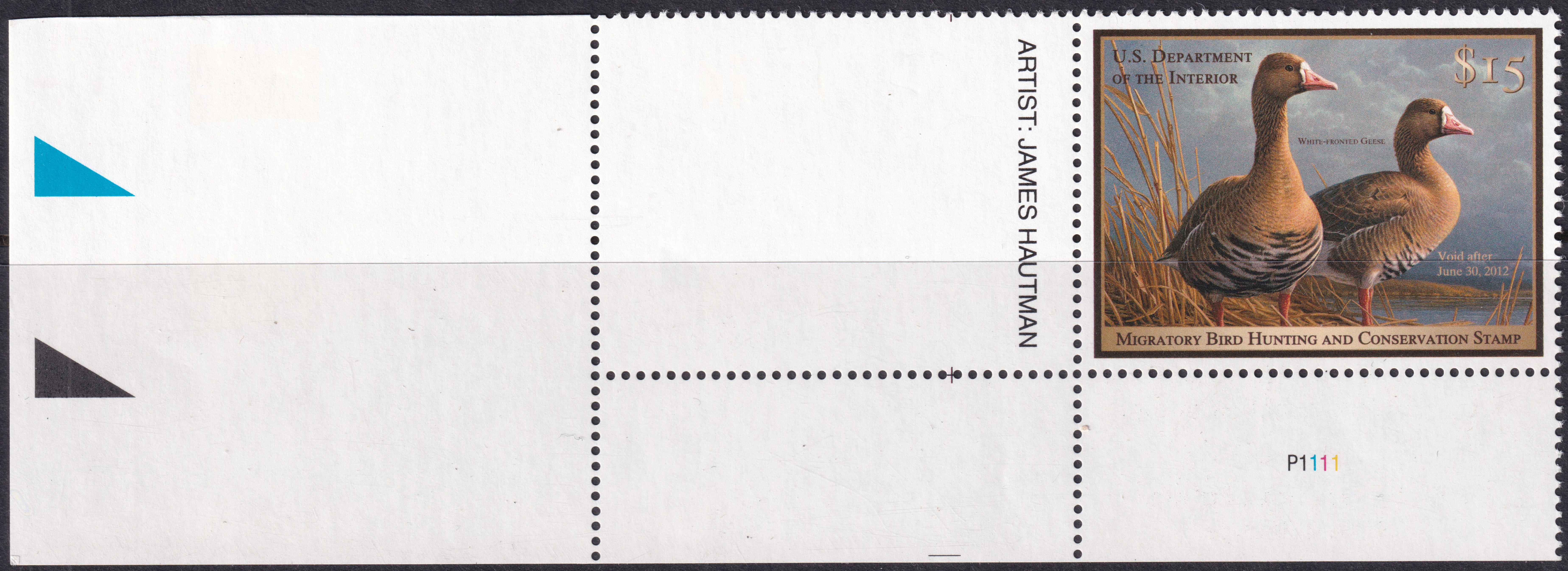 Stamp Picture
