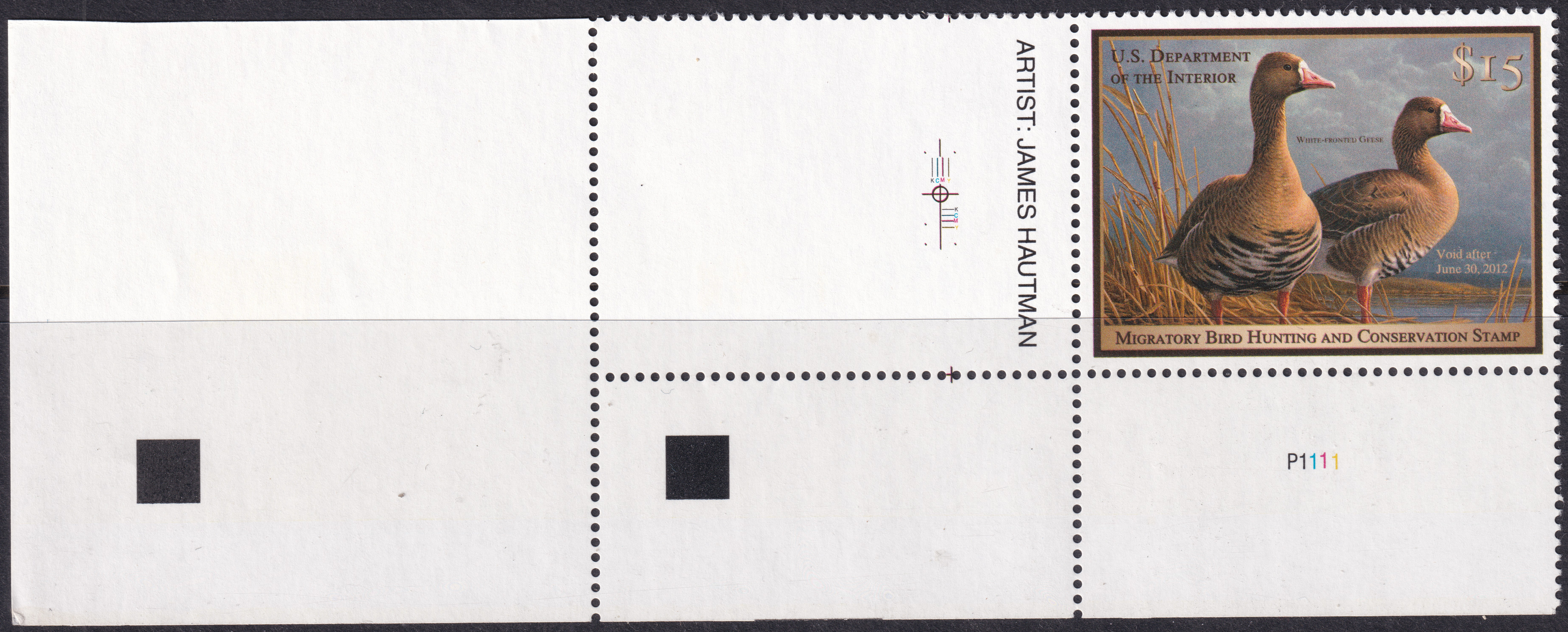 Stamp Picture