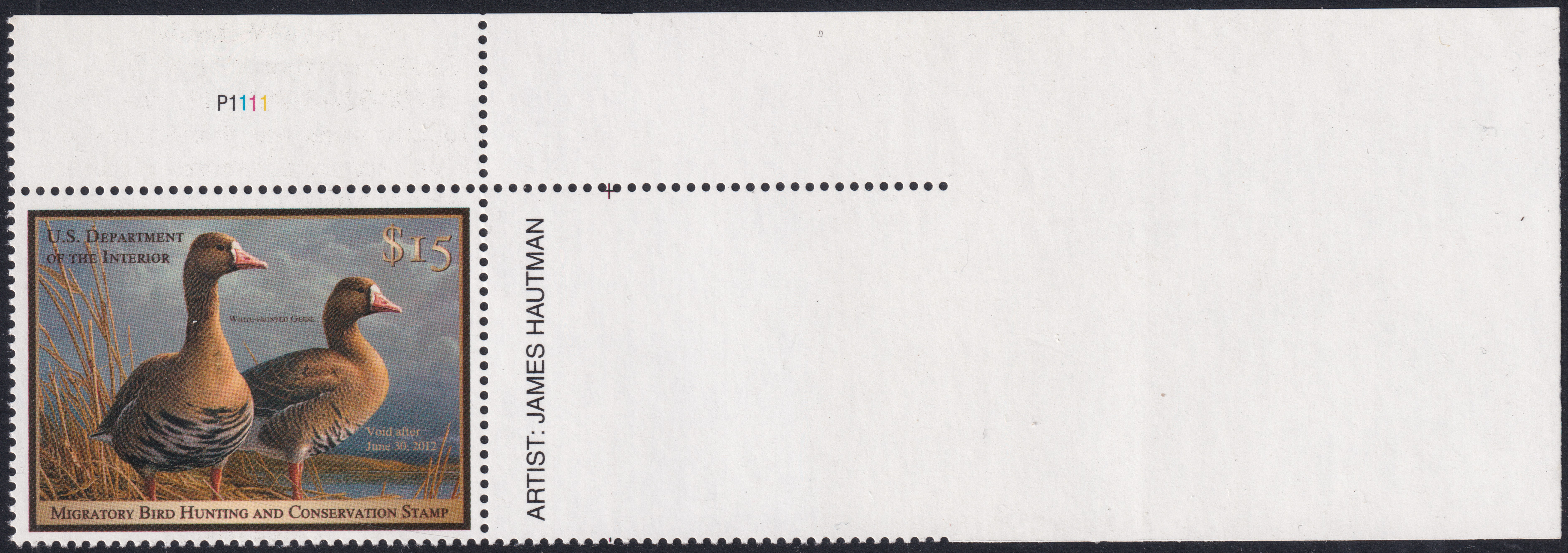Stamp Picture