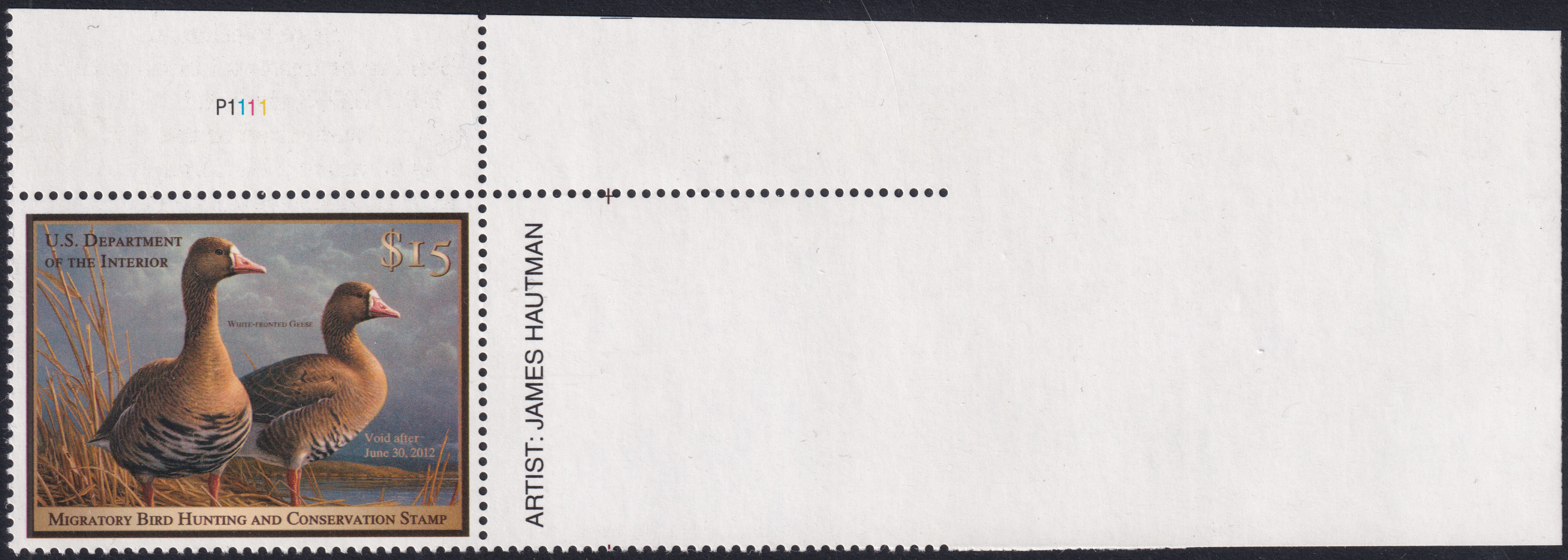 Stamp Picture