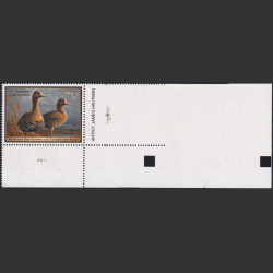 Picture of Lot #55634