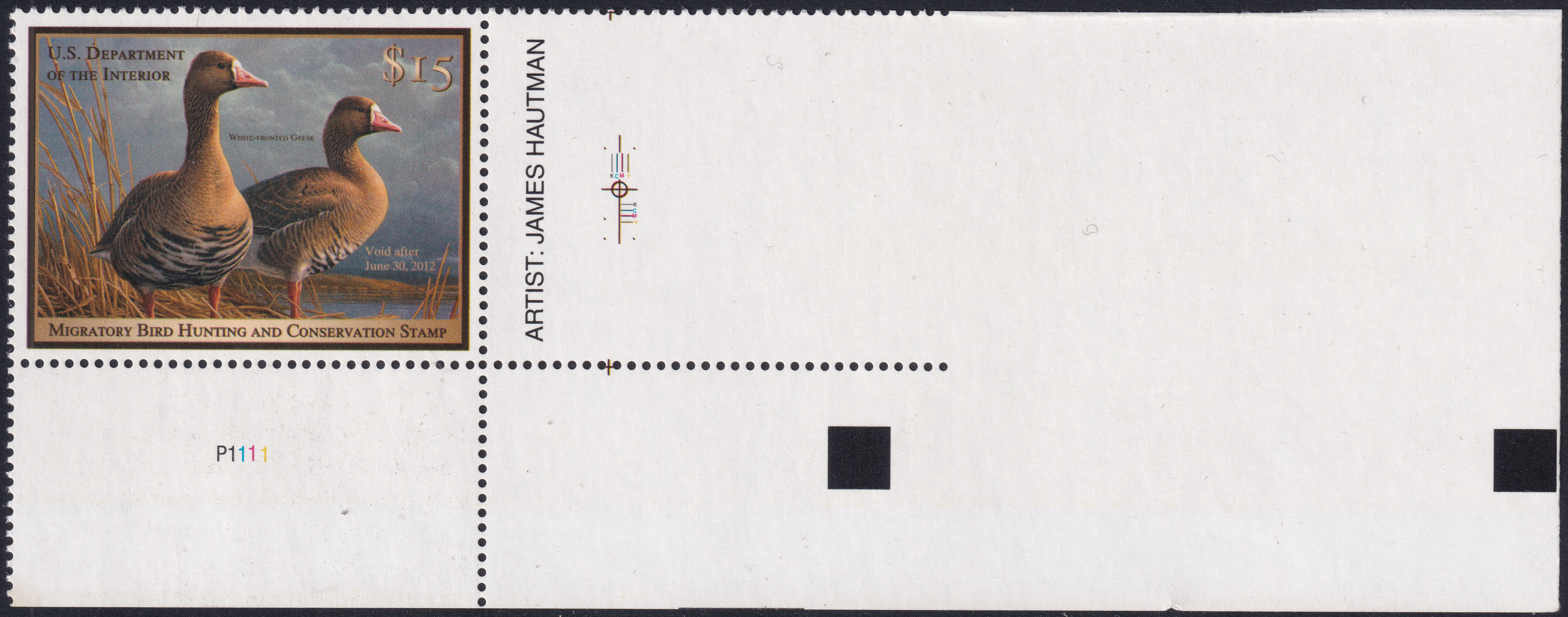 Stamp Picture